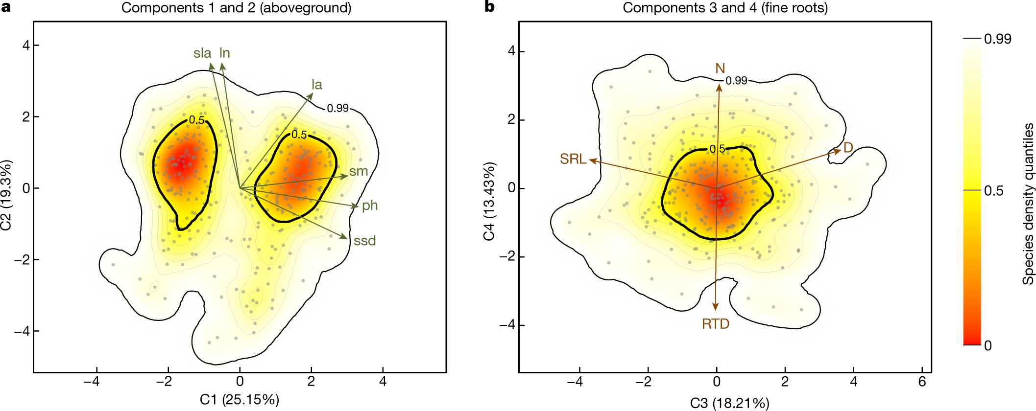 The Evolution of Plant Functional Variation: Traits, Spectra, and