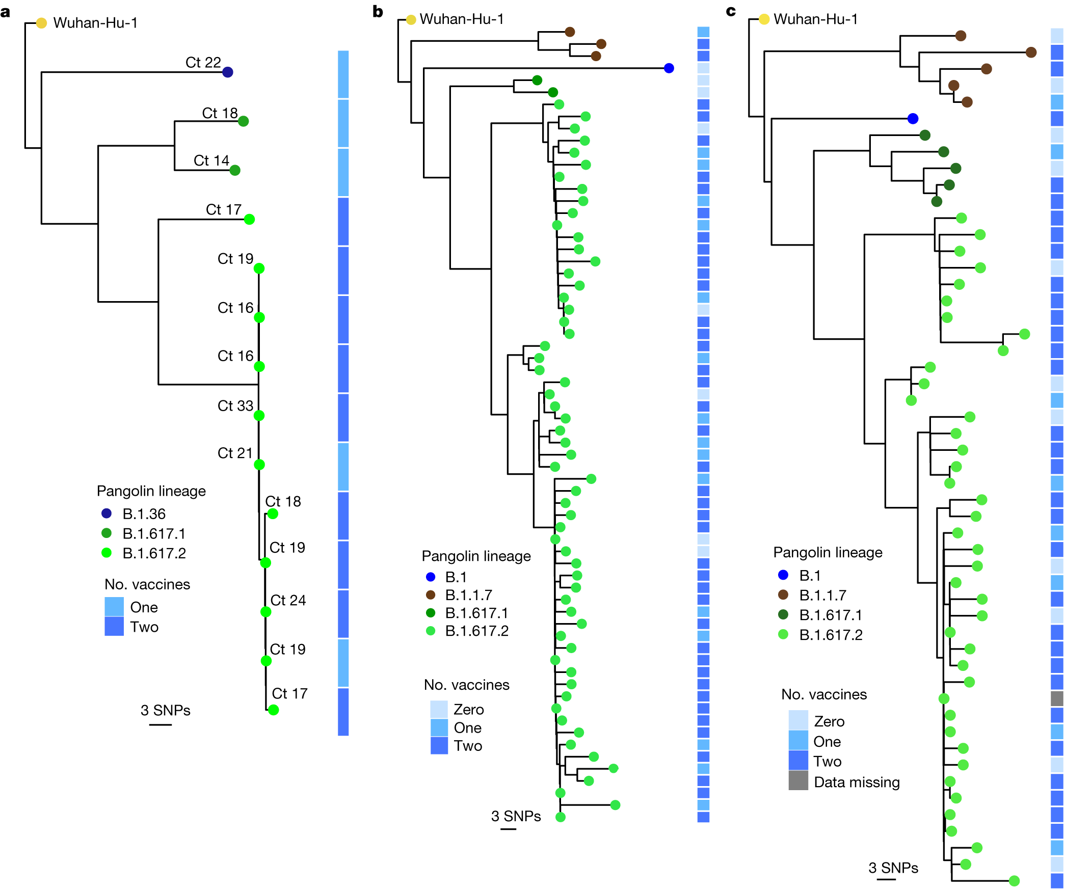 Fig. 3: SARS-CoV-2 B.1.617.2 infection in vaccinated HCWs.