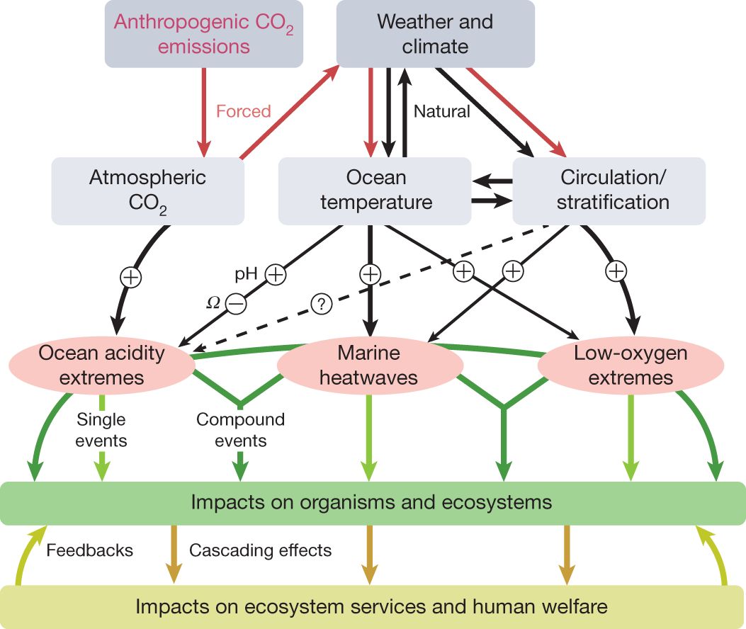 Natural Elements: Harnessing the Power of Nature for Tranquil Atmospherics  - FasterCapital