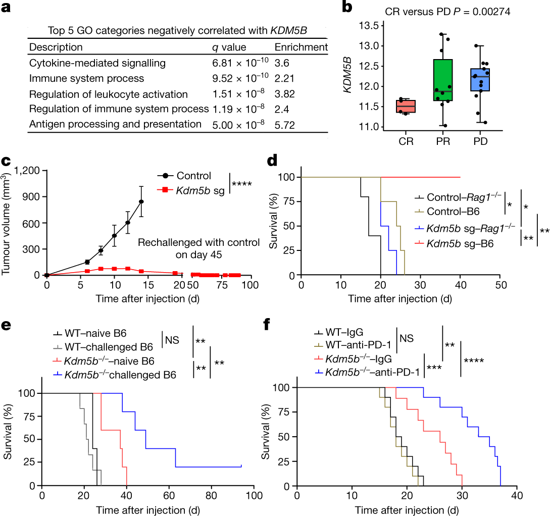Kdm5b Promotes Immune Evasion By Recruiting Setdb1 To Silence Retroelements Nature