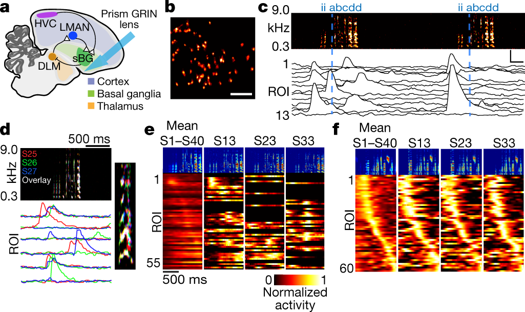 Neural underlying practice performance | Nature