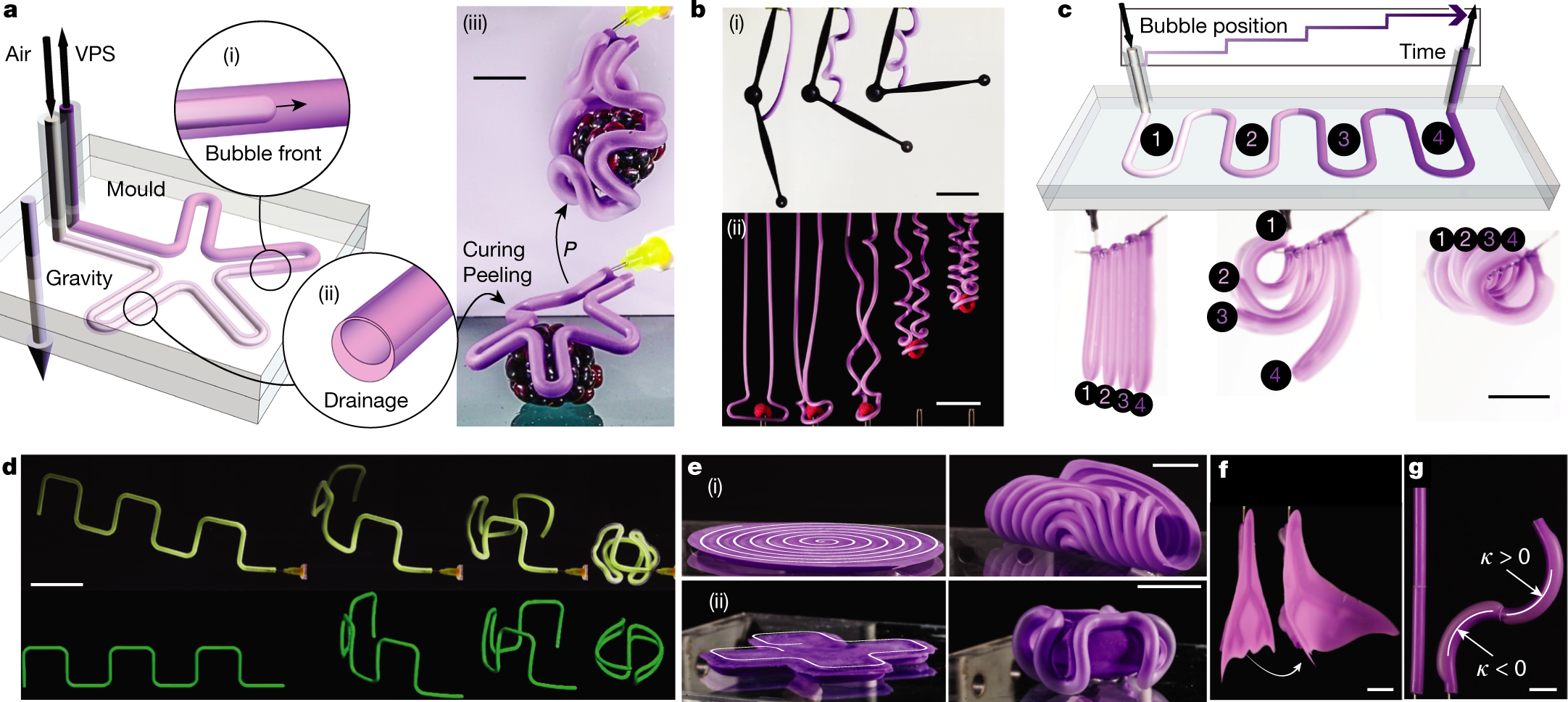 Bubble casting soft robotics