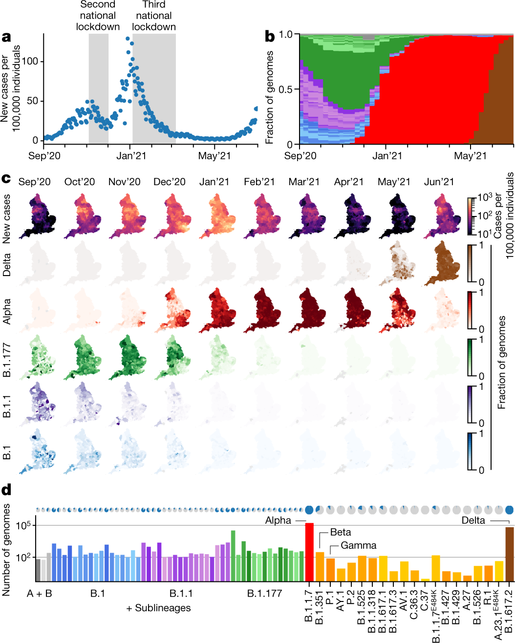 Genomic reconstruction of the SARS-CoV-2 epidemic in England | Nature