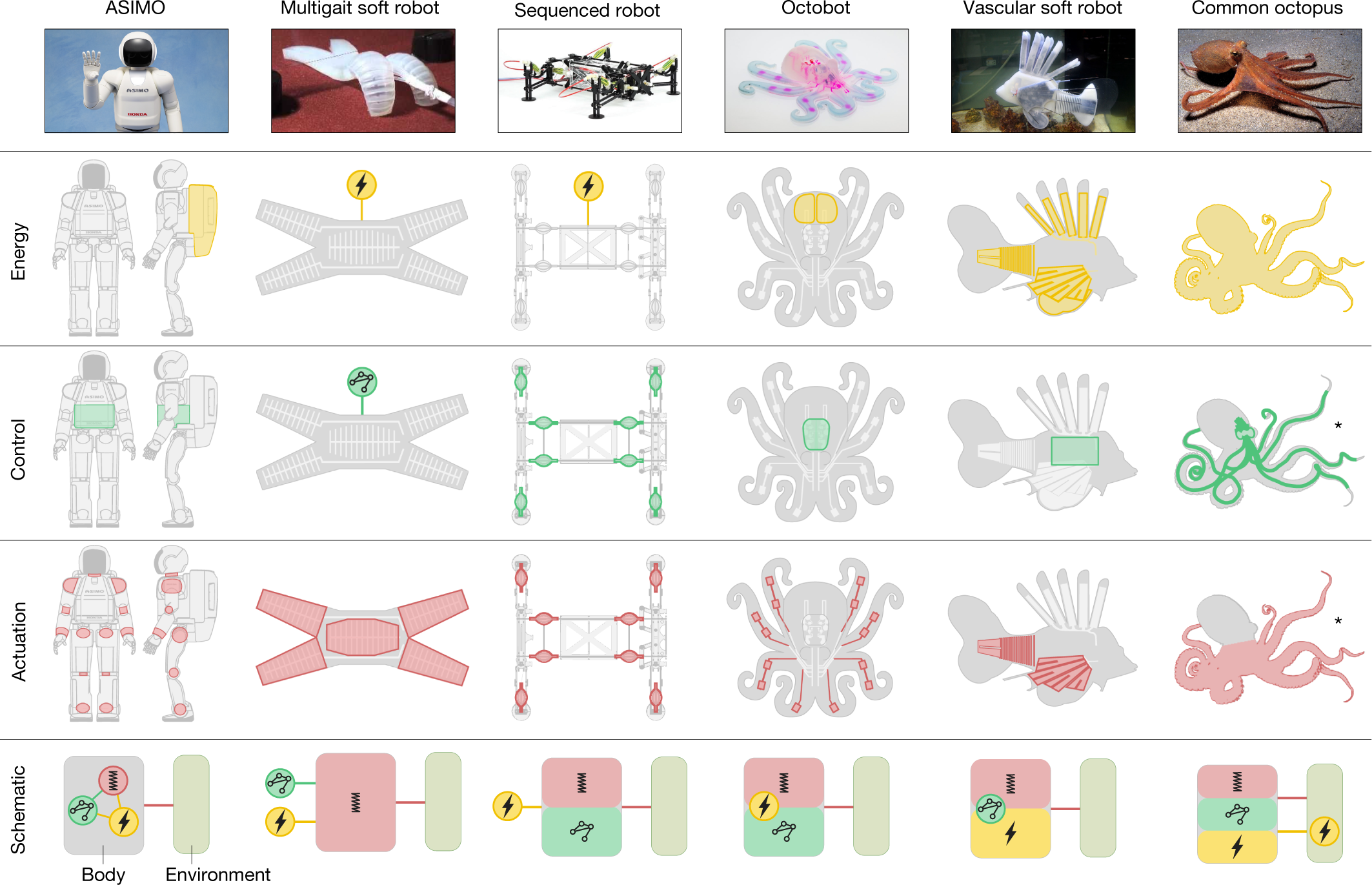 Towards enduring autonomous robots via embodied energy | Nature