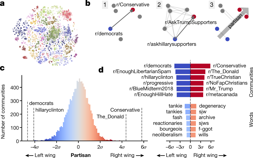 polarization politics definition