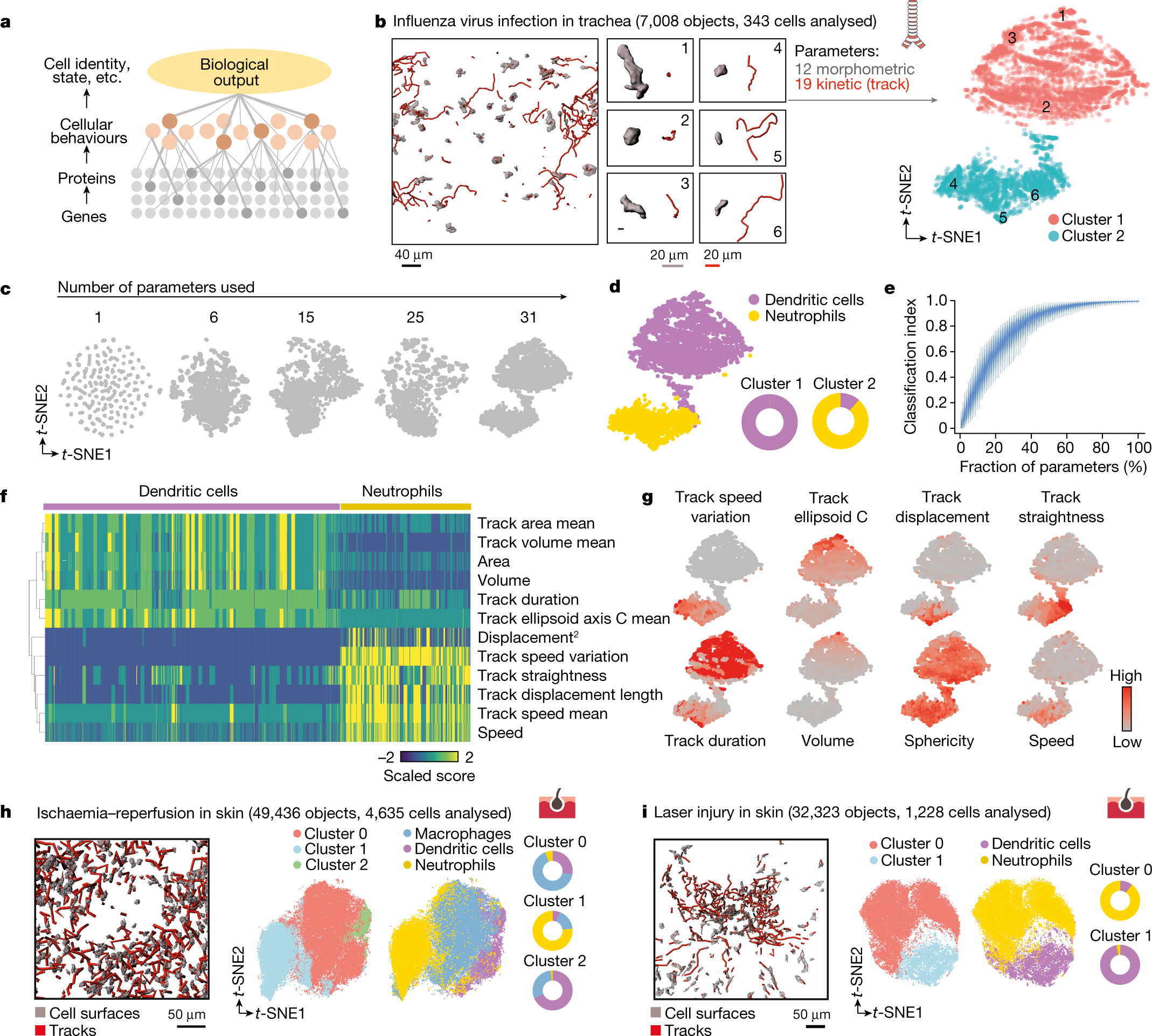 Behaviour specification classification for the state-of-the-art 2D