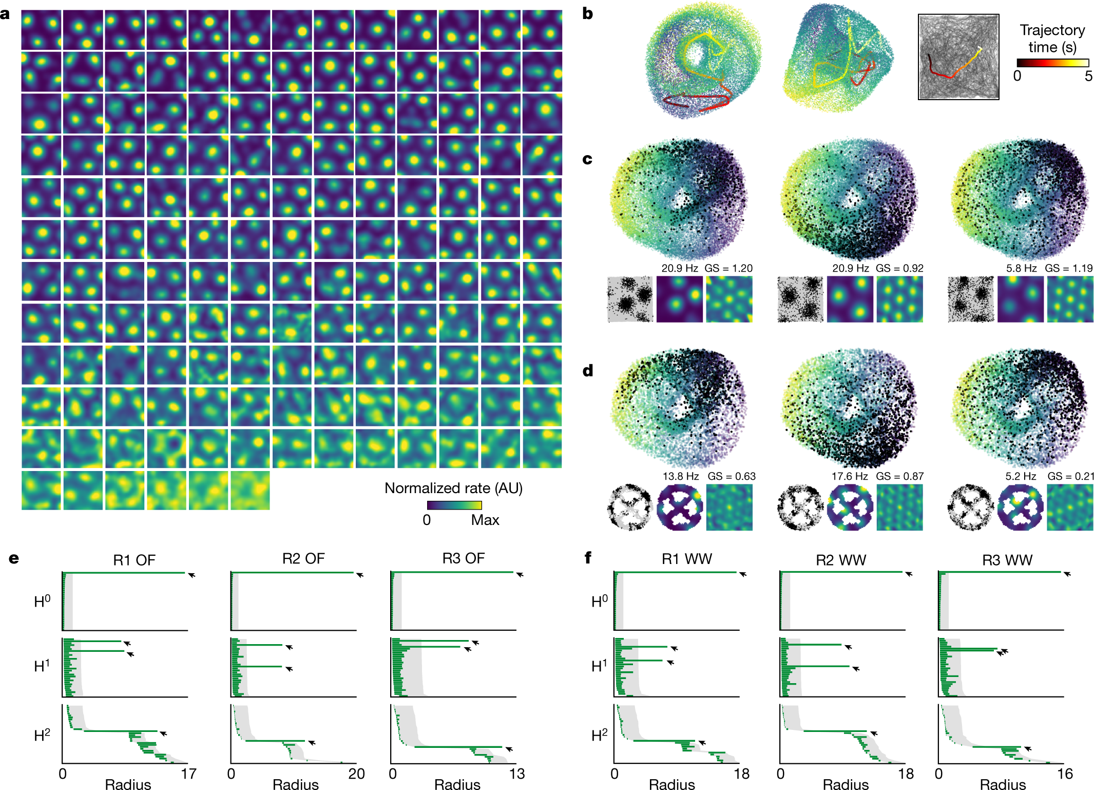 Toroidal topology of population activity in grid cells | Nature