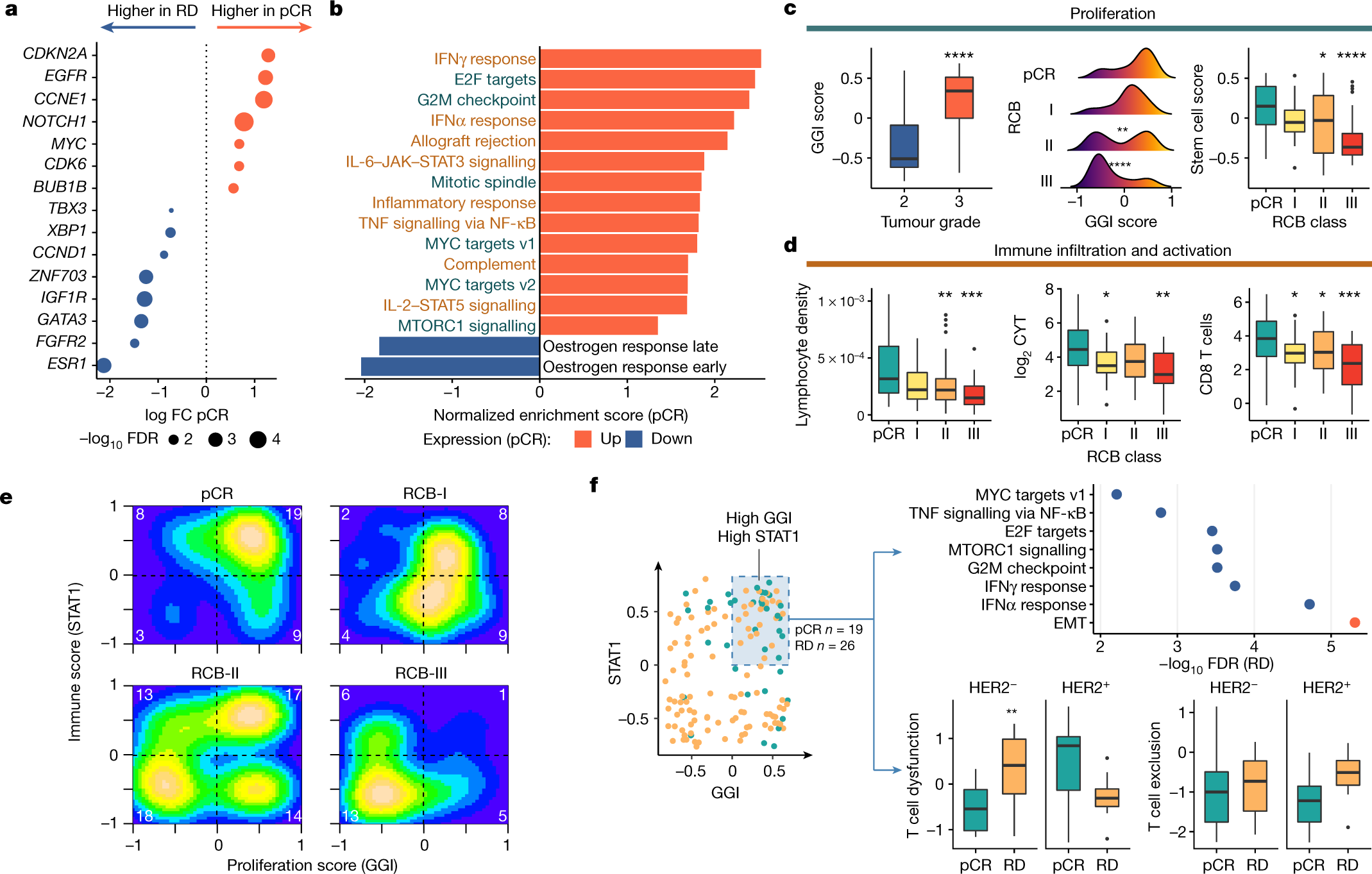Fig. 3: Transcriptomic features associated with response to neoadjuvant therapy.