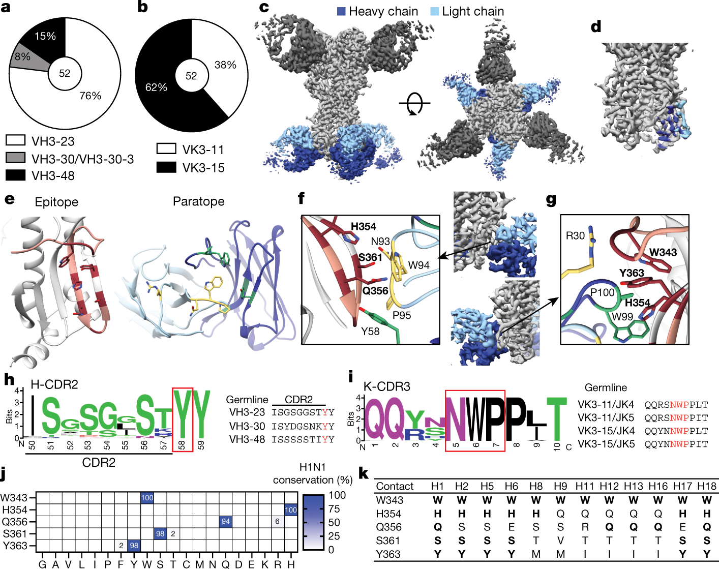 Fig. 2: Anchor-targeting mAbs bind to the HA fusion peptide via public binding motifs.
