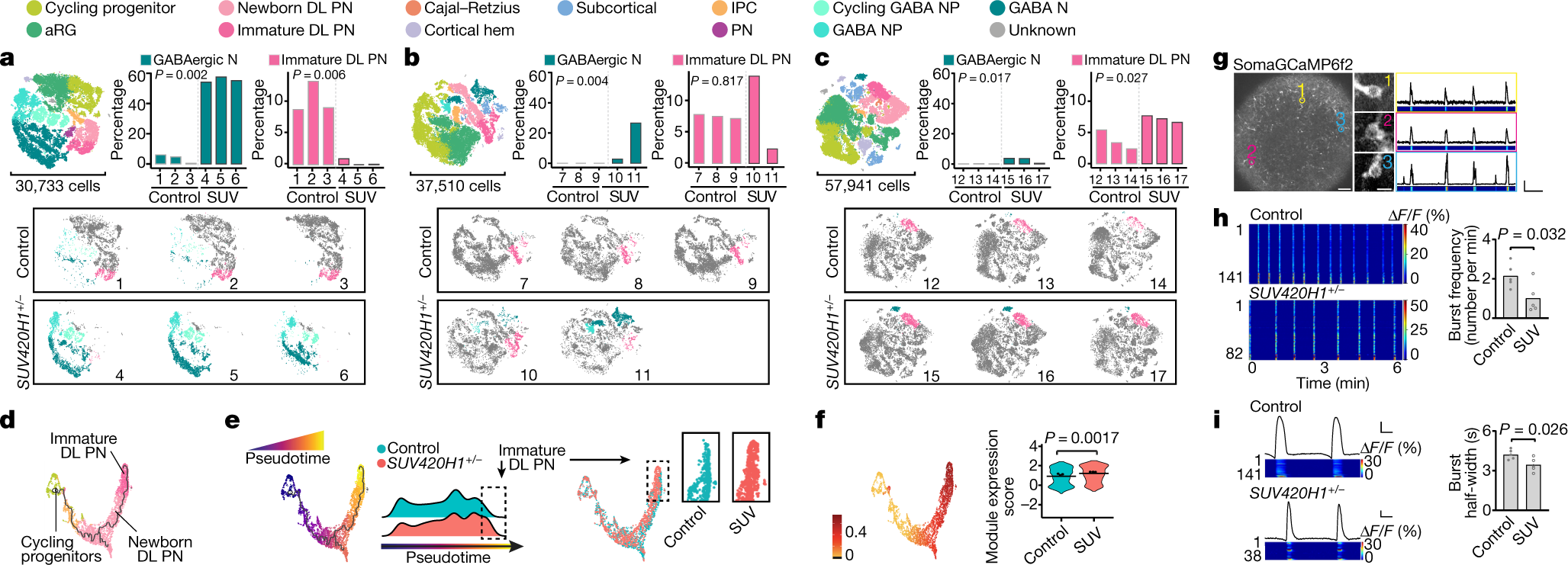 Addgene: pAAV-CAG-SomaGCaMP6f2