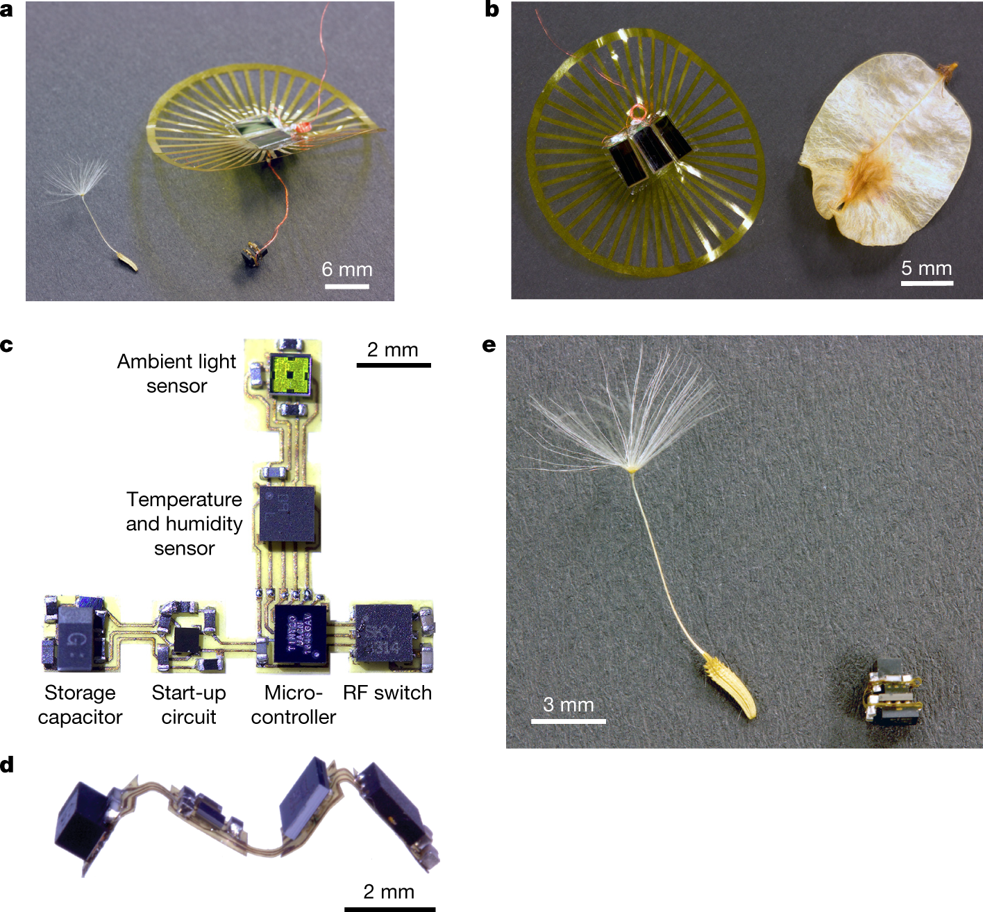 Wind dispersal of battery-free wireless devices | Nature