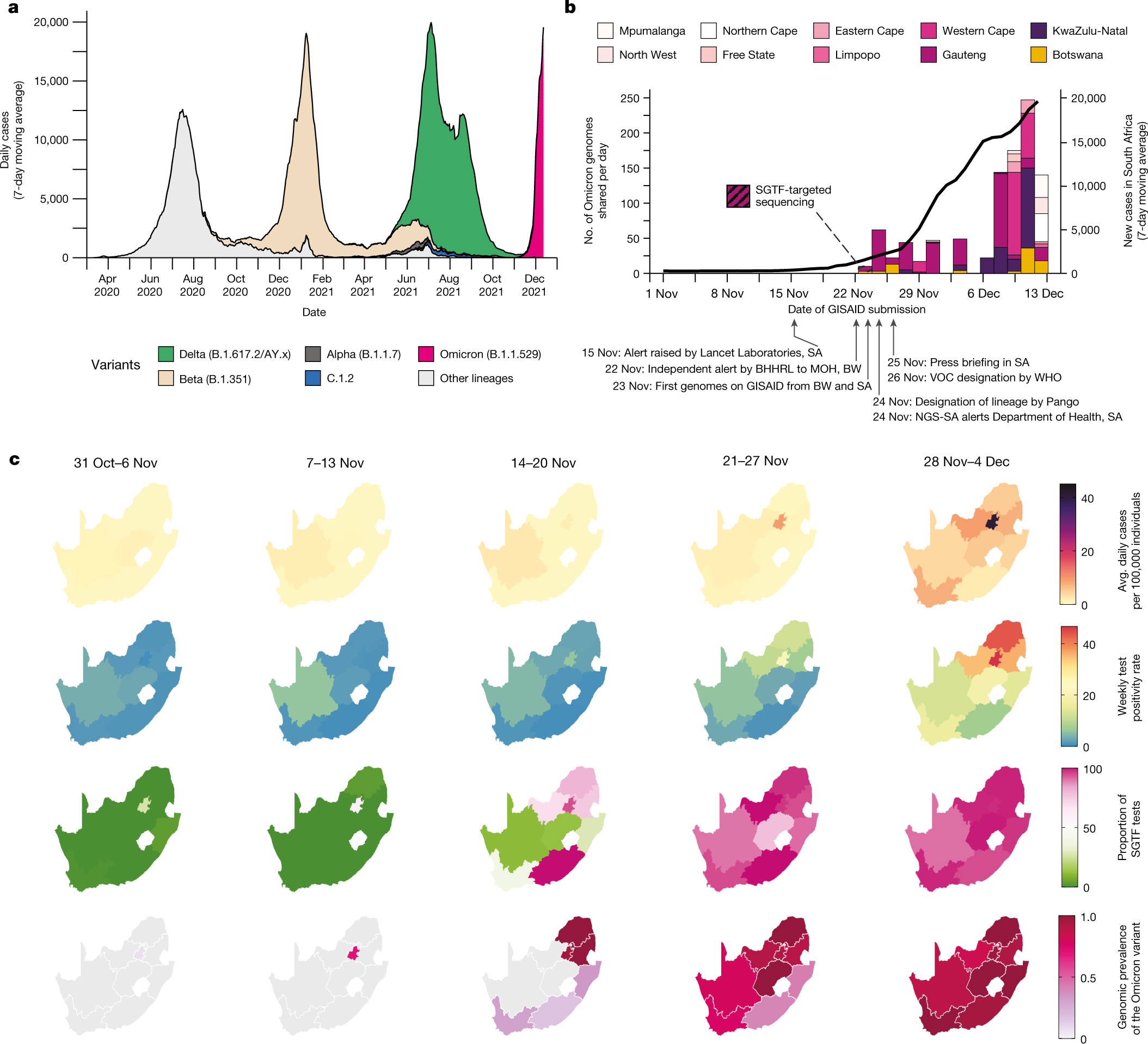 Rapid epidemic expansion of the SARS-CoV-2 Omicron variant in southern  Africa | Nature