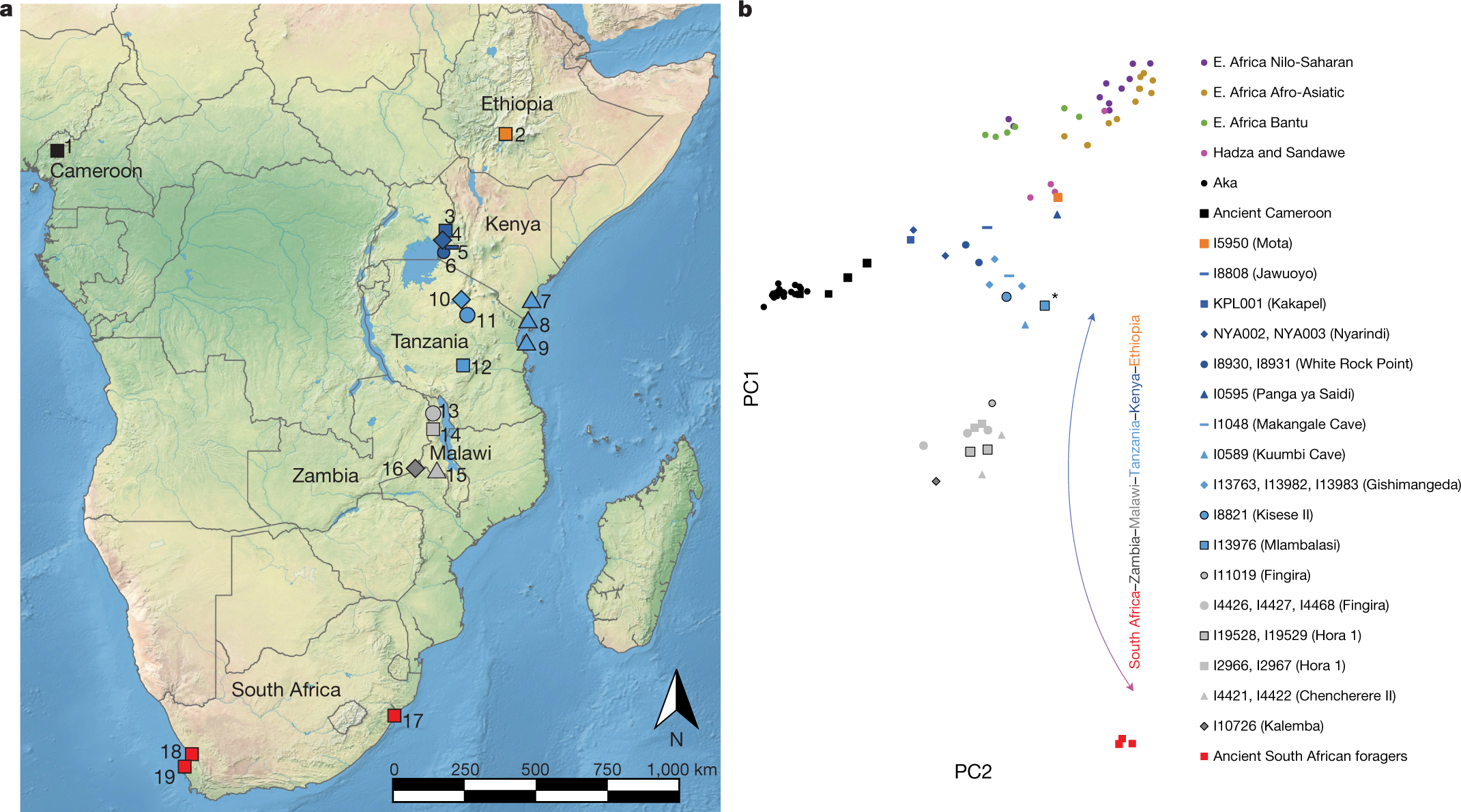 Ancient DNA and deep population structure in sub-Saharan African foragers