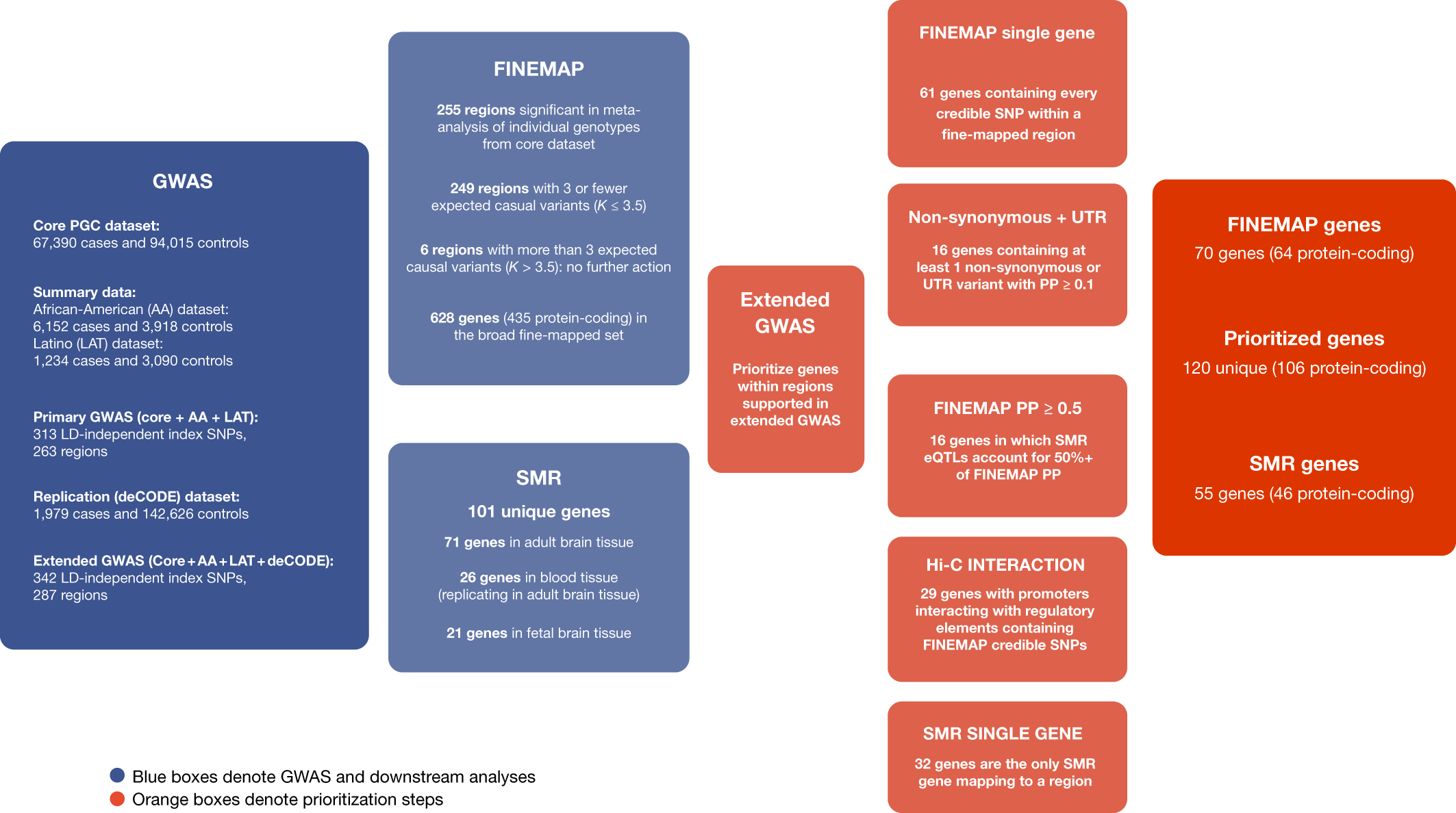 Mapping genomic loci implicates genes and synaptic biology in schizophrenia  | Nature