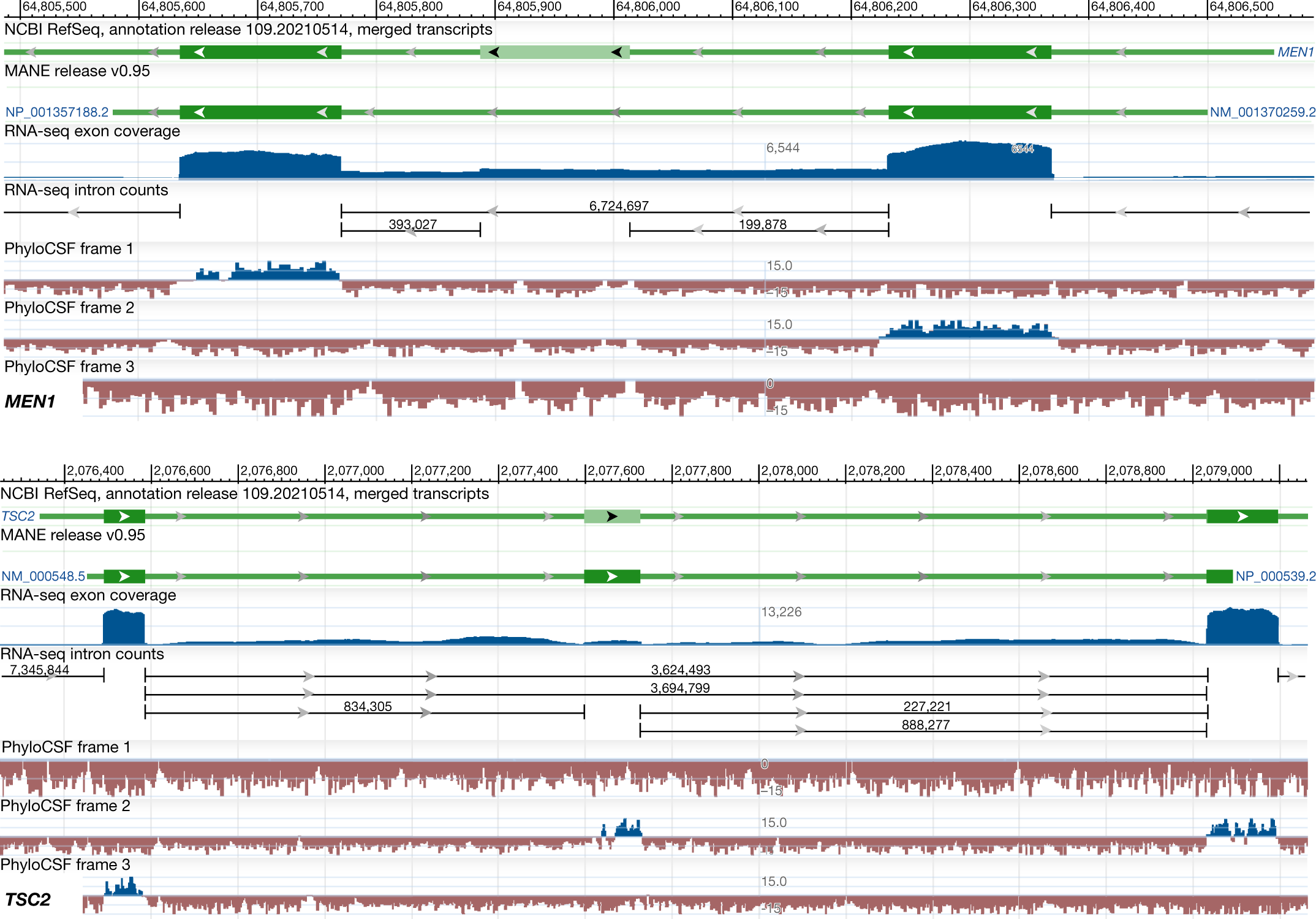 A joint NCBI and EMBL-EBI transcript set for clinical genomics and research  | Nature