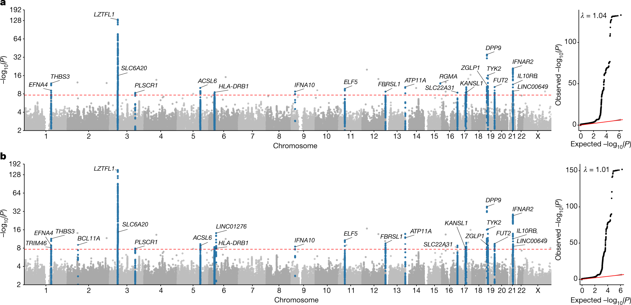 2158px x 1043px - Whole-genome sequencing reveals host factors underlying critical COVID-19 |  Nature