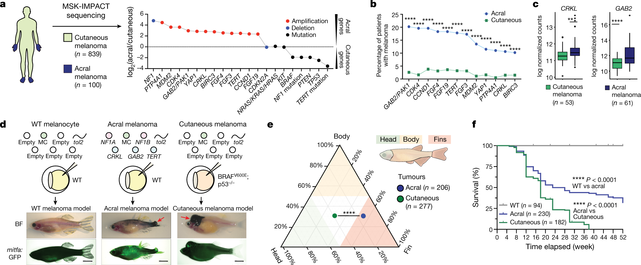 Anatomic position determines oncogenic specificity in melanoma | Nature