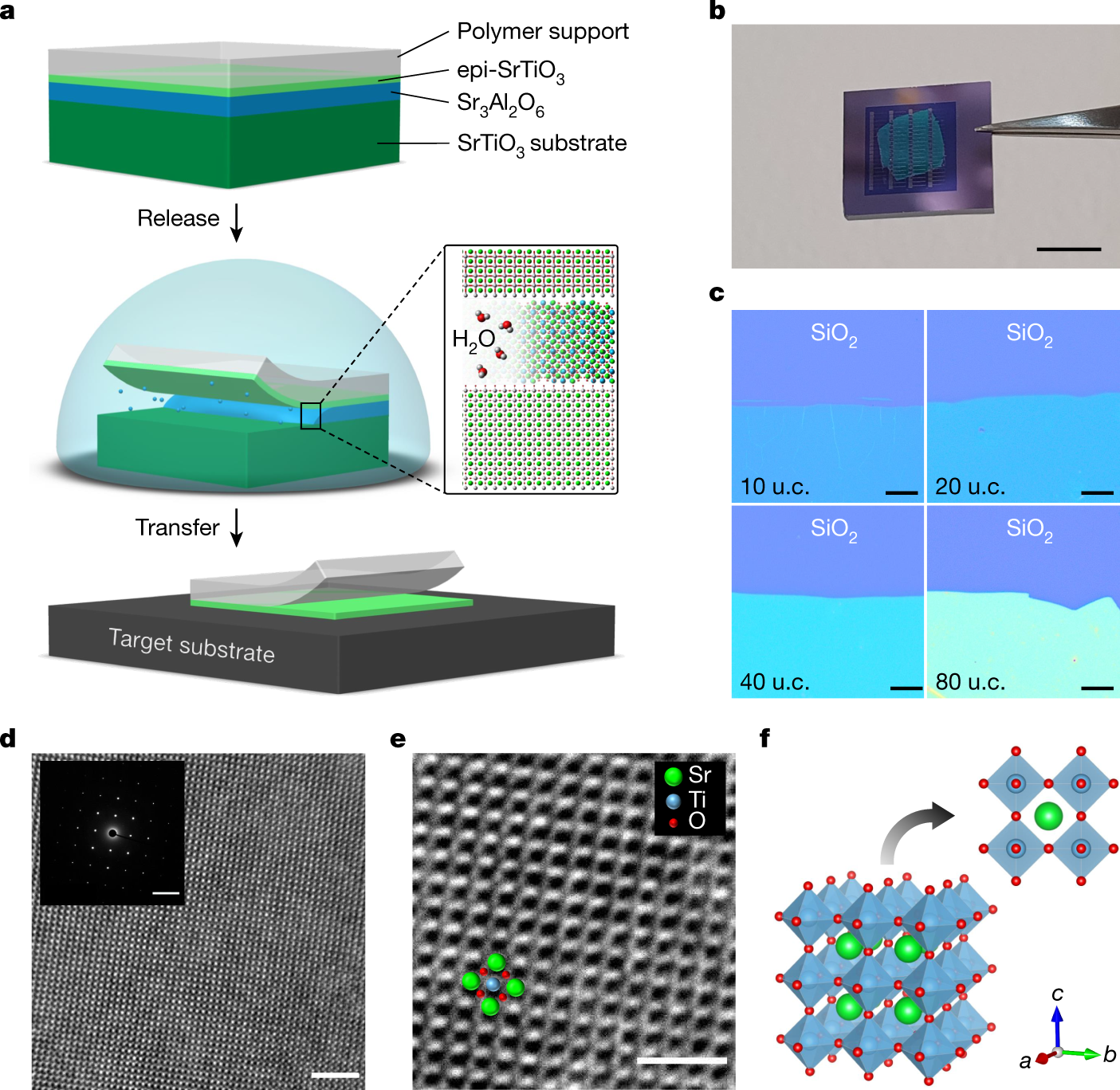 High-κ perovskite membranes as insulators for two-dimensional transistors |  Nature