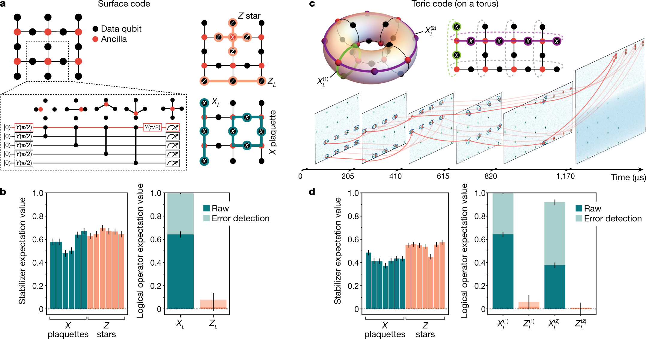 Fig. 3: Topological surface code and toric code states using mobile ancilla qubit arrays.