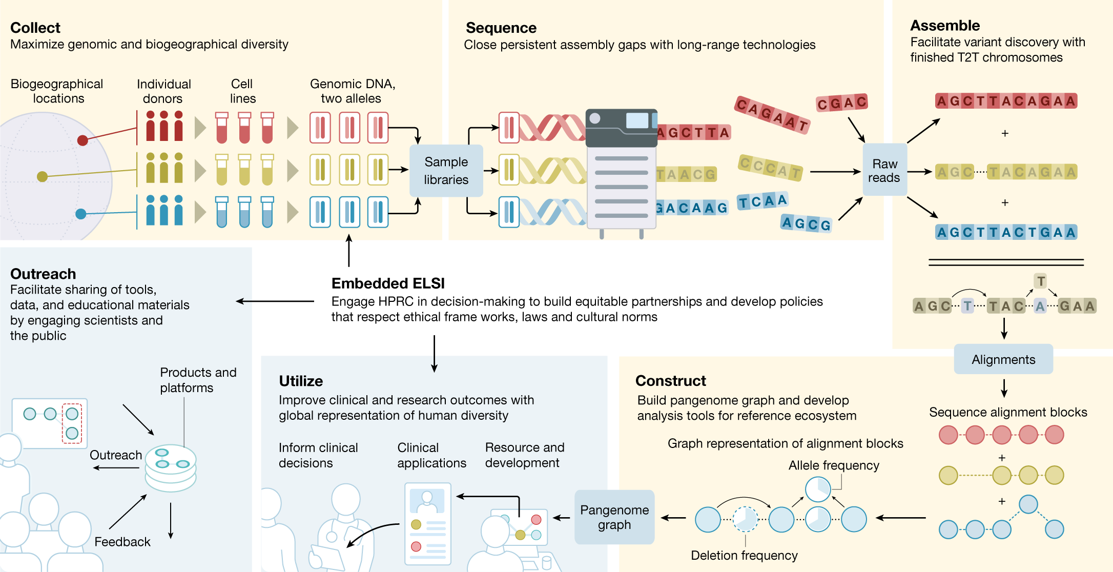 The Human Pangenome Project: a global resource to map genomic diversity |  Nature