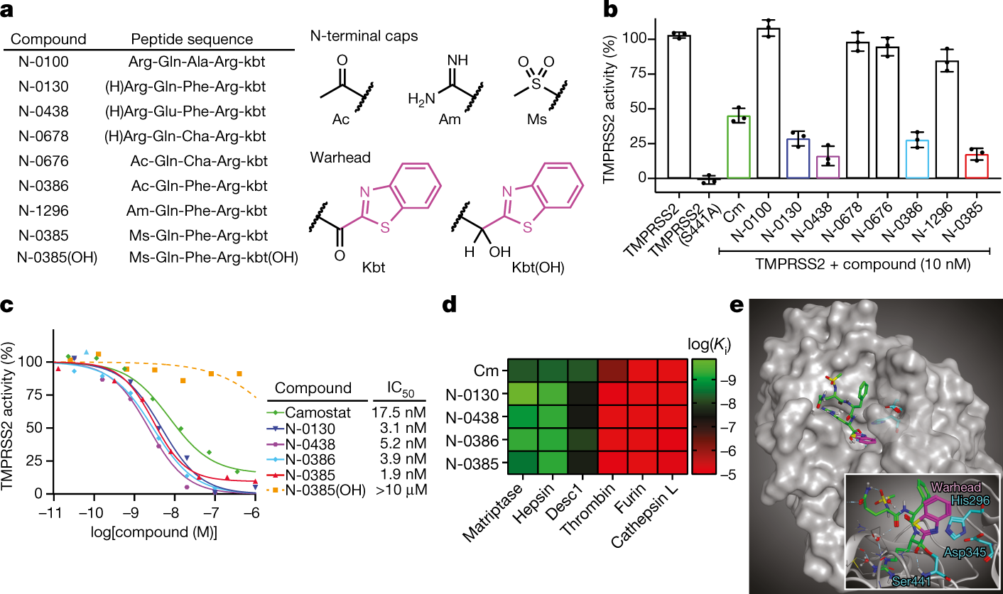 https://media.springernature.com/full/springer-static/image/art%3A10.1038%2Fs41586-022-04661-w/MediaObjects/41586_2022_4661_Fig1_HTML.png