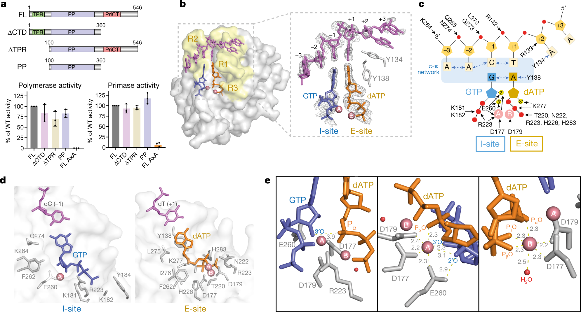 Molecular basis for the initiation of DNA primer synthesis | Nature