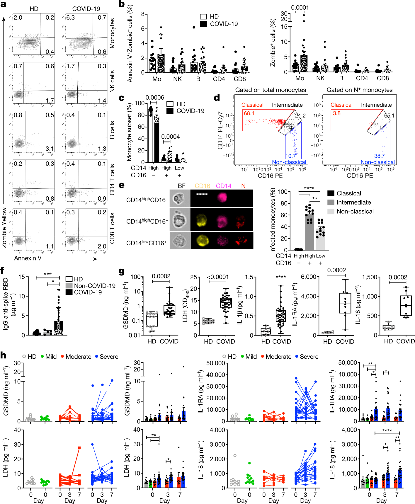 FcγR-mediated SARS-CoV-2 infection of monocytes activates inflammation |  Nature