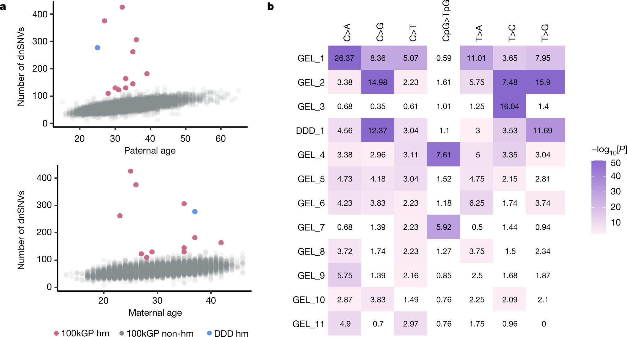 Genetic and chemotherapeutic influences on germline hypermutation | Nature