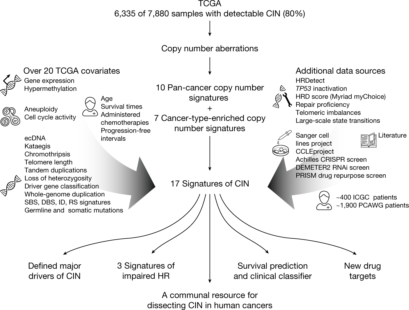 A pan-cancer compendium of chromosomal instability | Nature