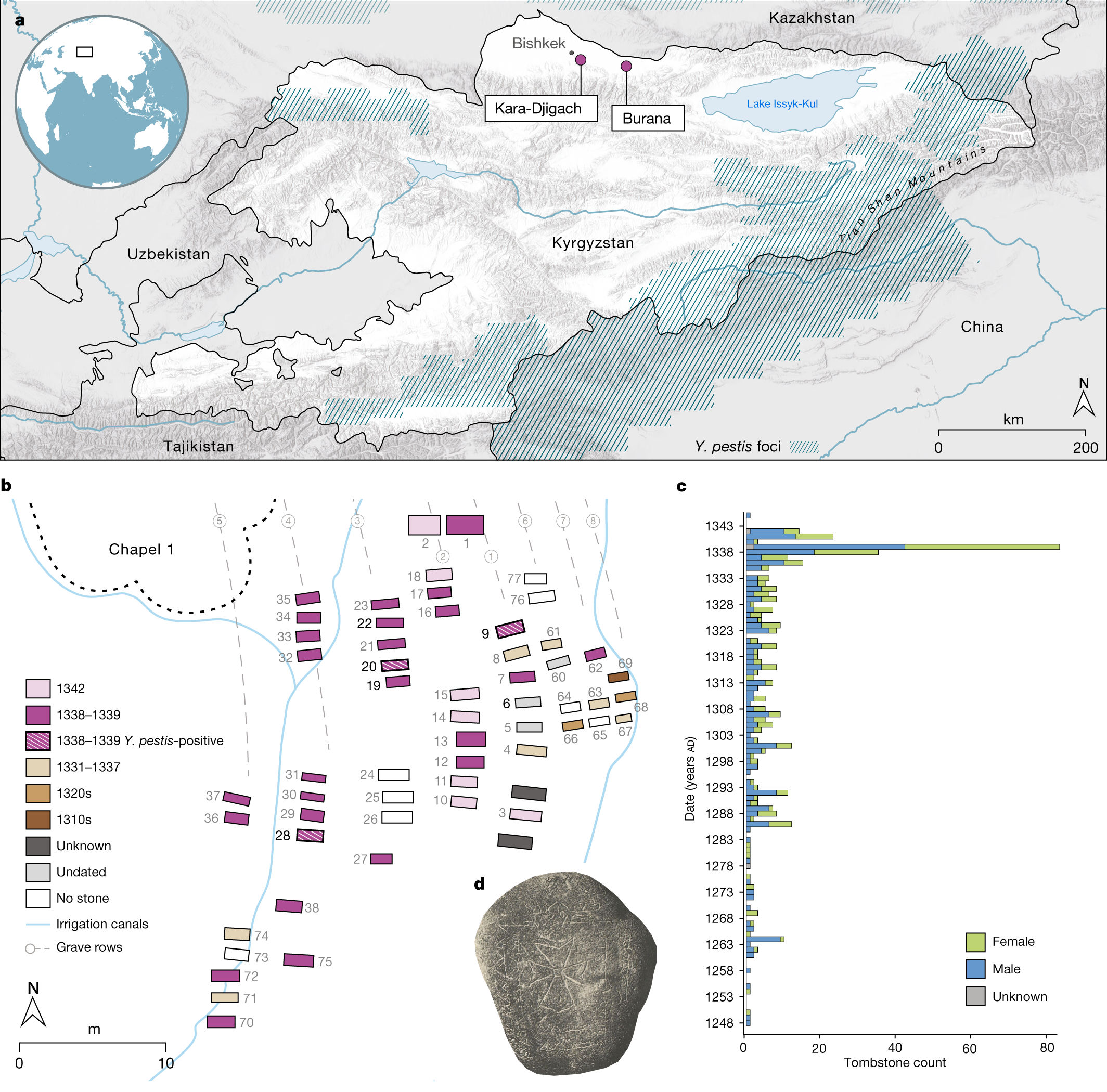 The source of the Black Death in fourteenth-century central Eurasia | Nature