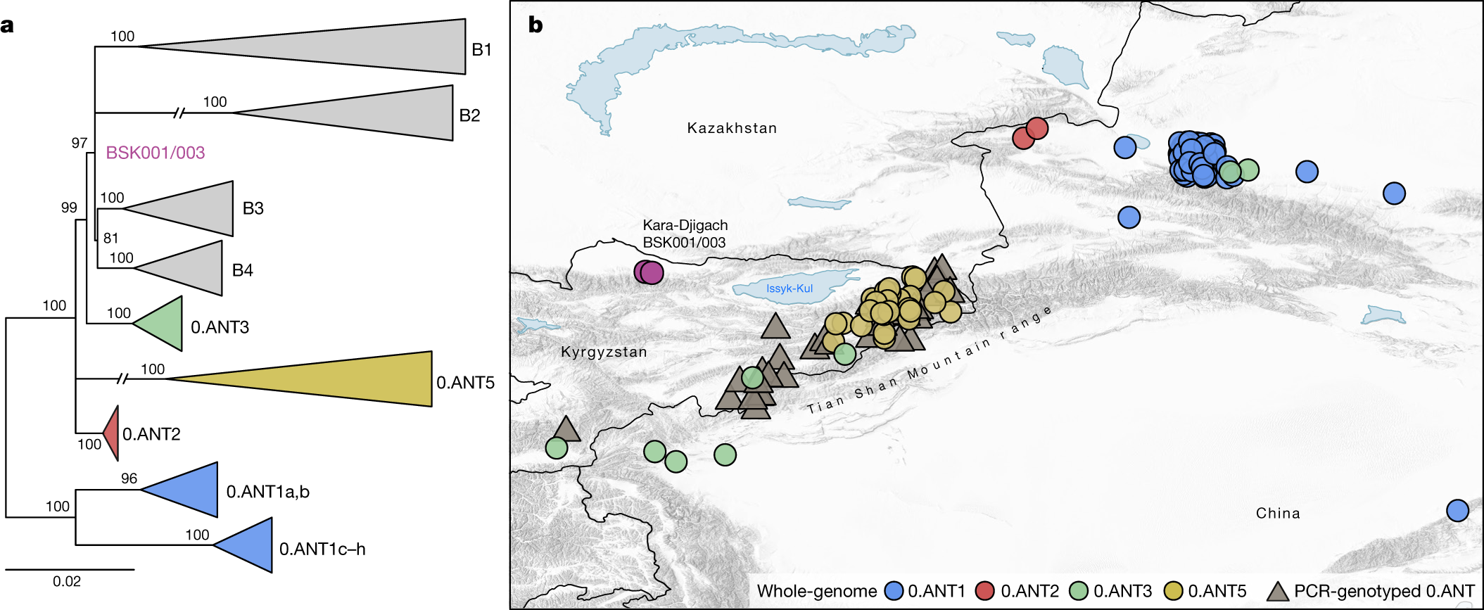 Fig. 4: Geographical isolation locations of modern 0.ANT lineages.