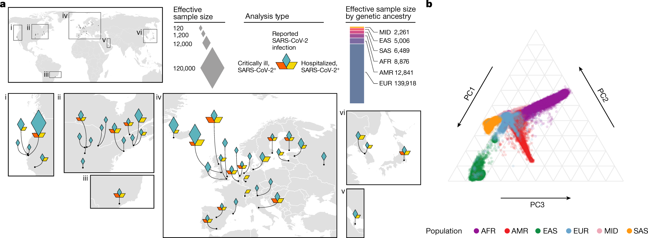A first update on mapping the human genetic architecture of COVID-19 |  Nature
