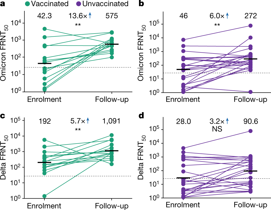 Omicron infection enhances Delta antibody immunity in vaccinated persons |  Nature