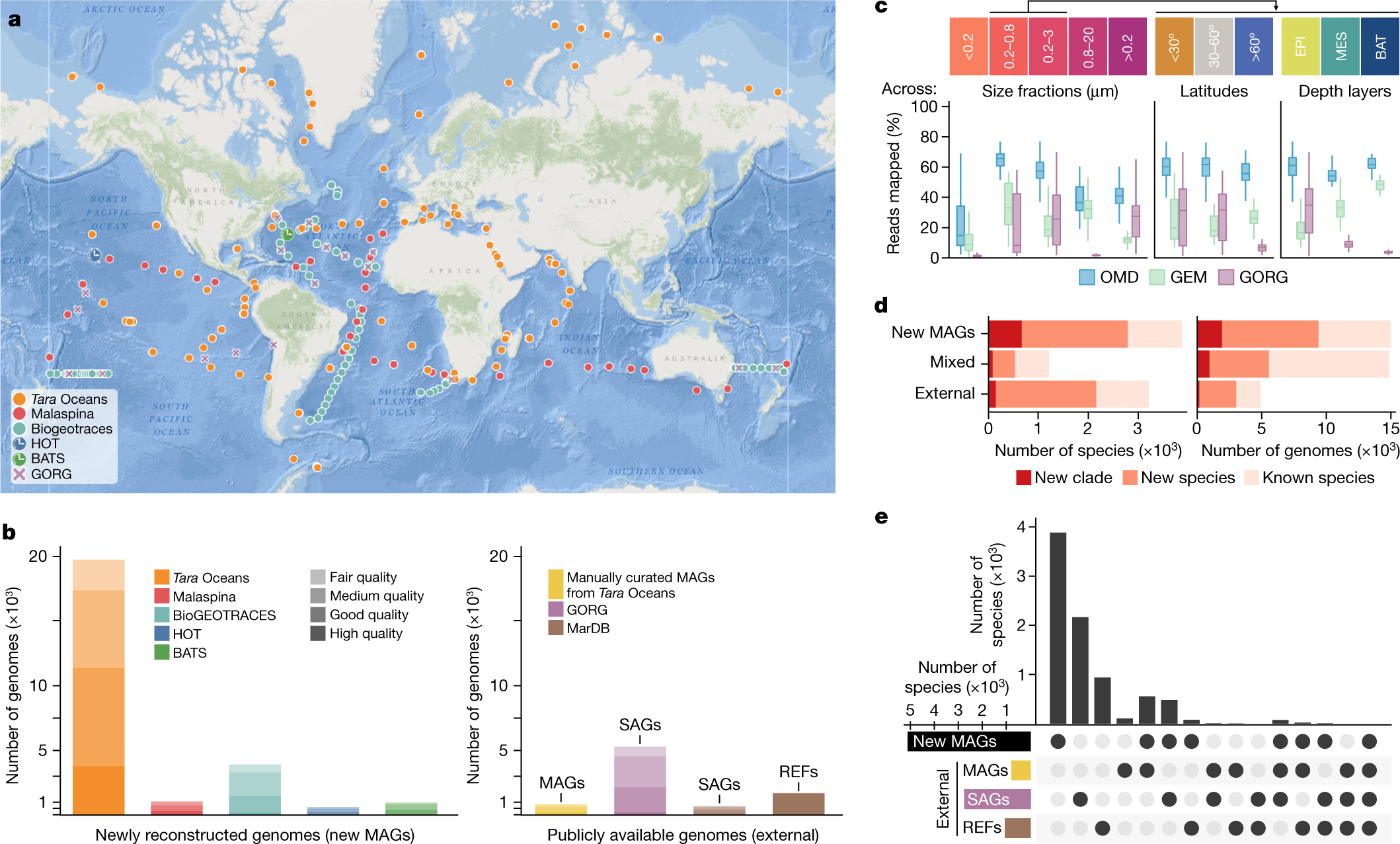 Biosynthetic potential of the global ocean microbiome | Nature