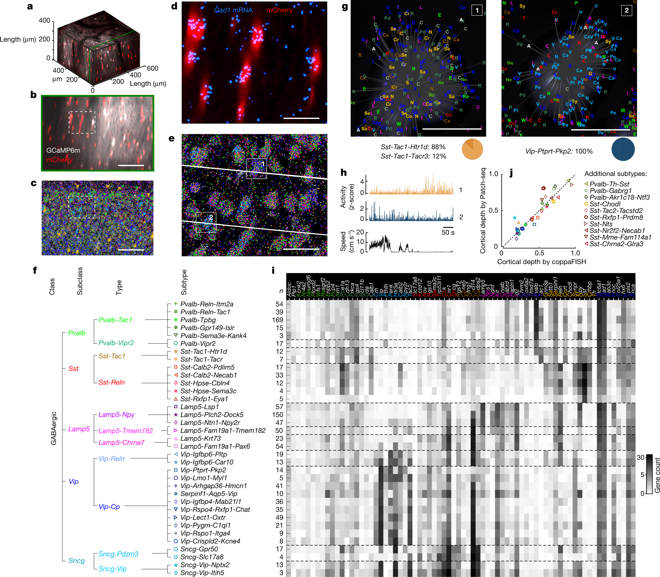 In Vivo vs. In Situ Experiments, Definition & Examples - Video & Lesson  Transcript