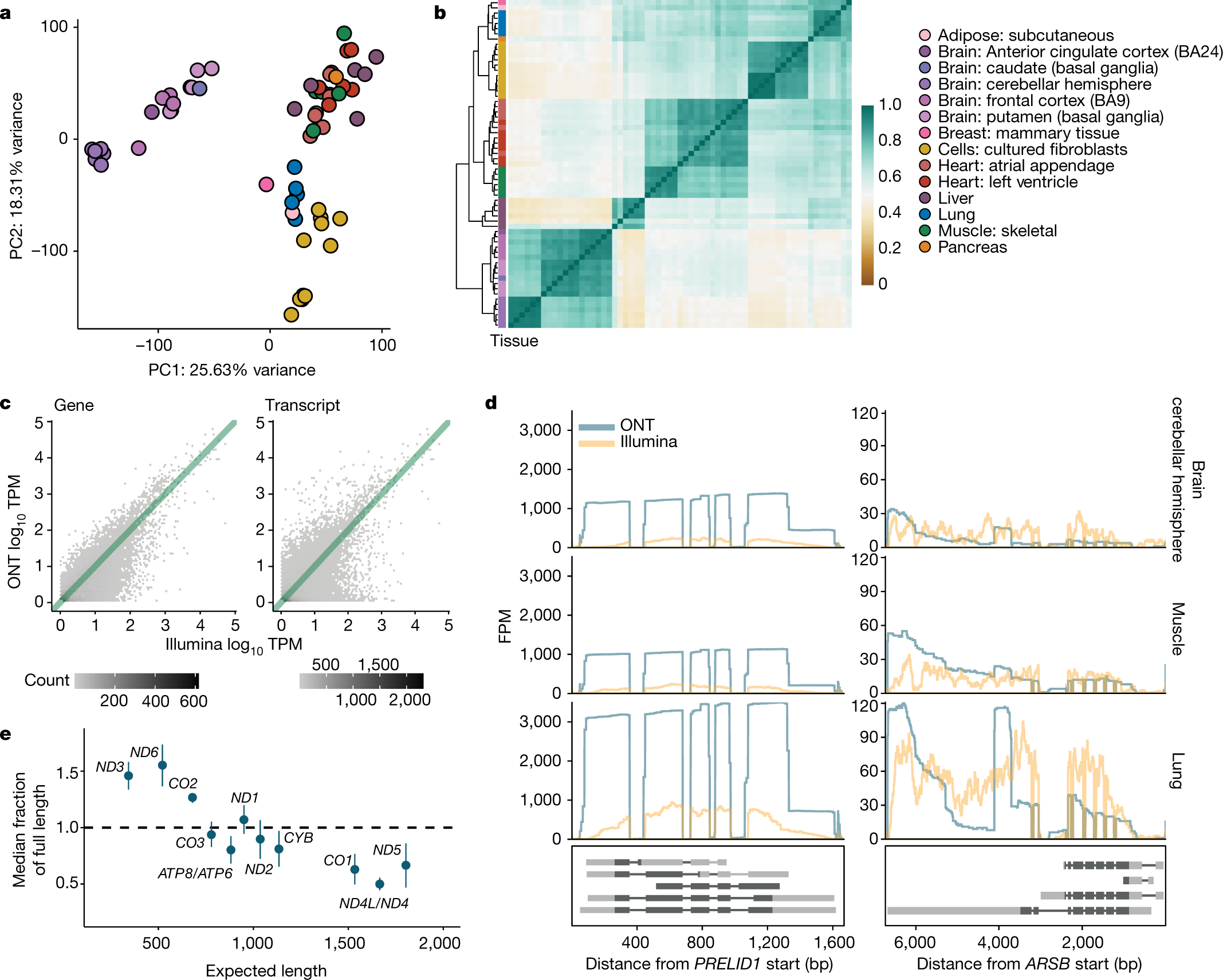 Transcriptomic signatures across human tissues identify functional rare  genetic variation