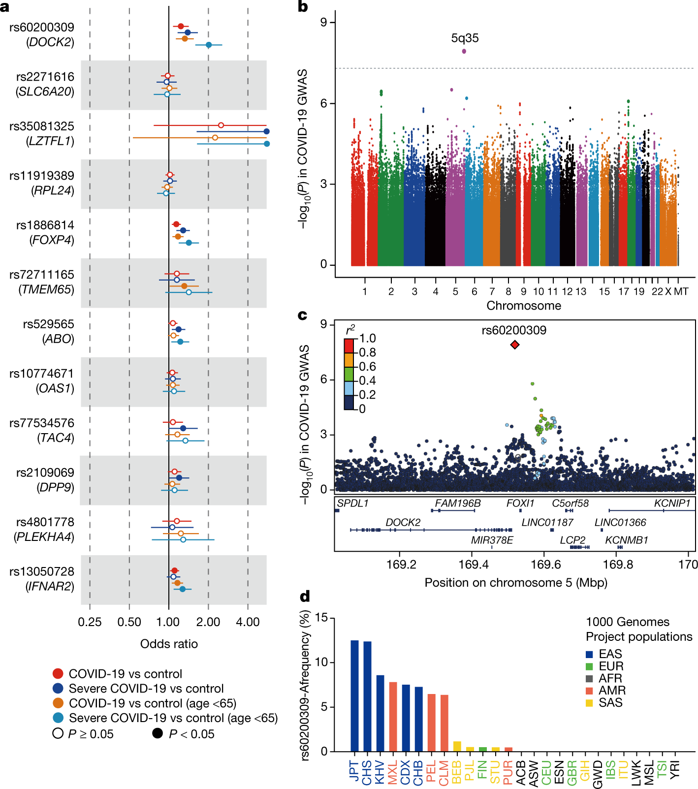 DOCK2 is involved in the host genetics and biology of severe COVID-19 |  Nature