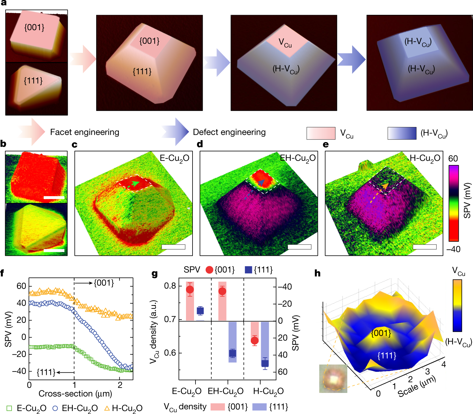 Spatiotemporal imaging of charge transfer in photocatalyst particles |  Nature