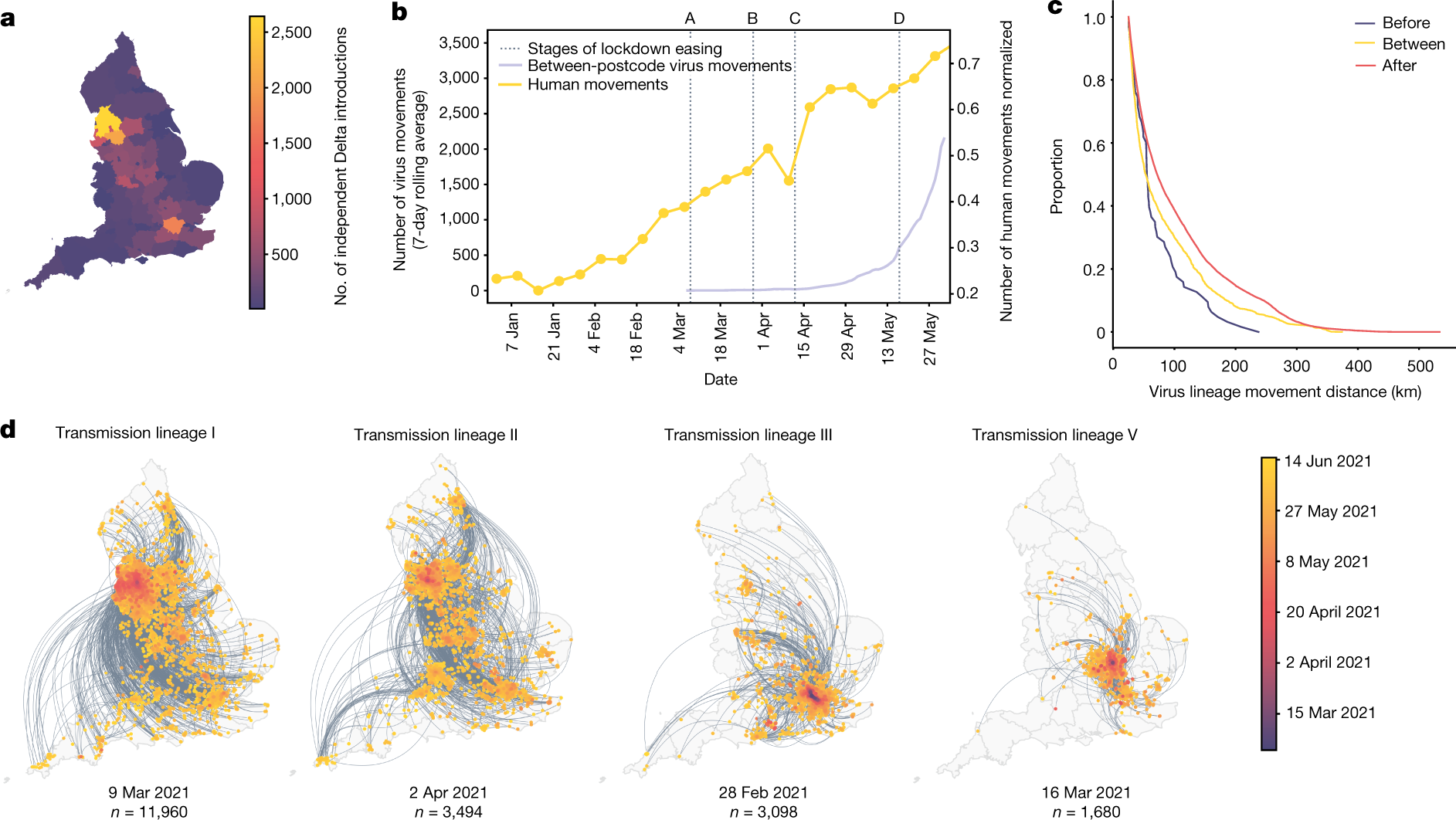 Fig. 3: Introductions and regional dynamics of Delta transmission lineages.
