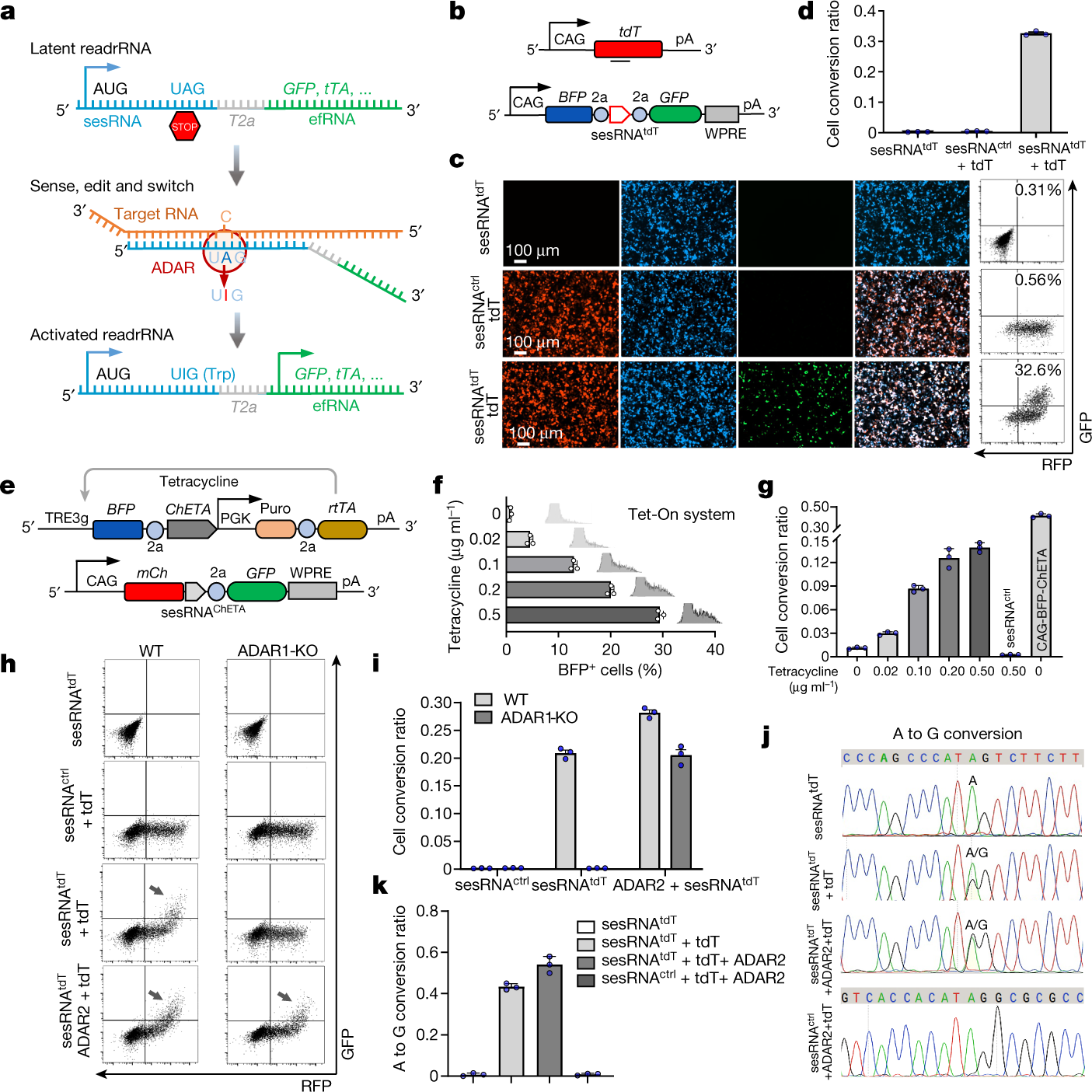 Programmable RNA sensing for cell monitoring and manipulation | Nature