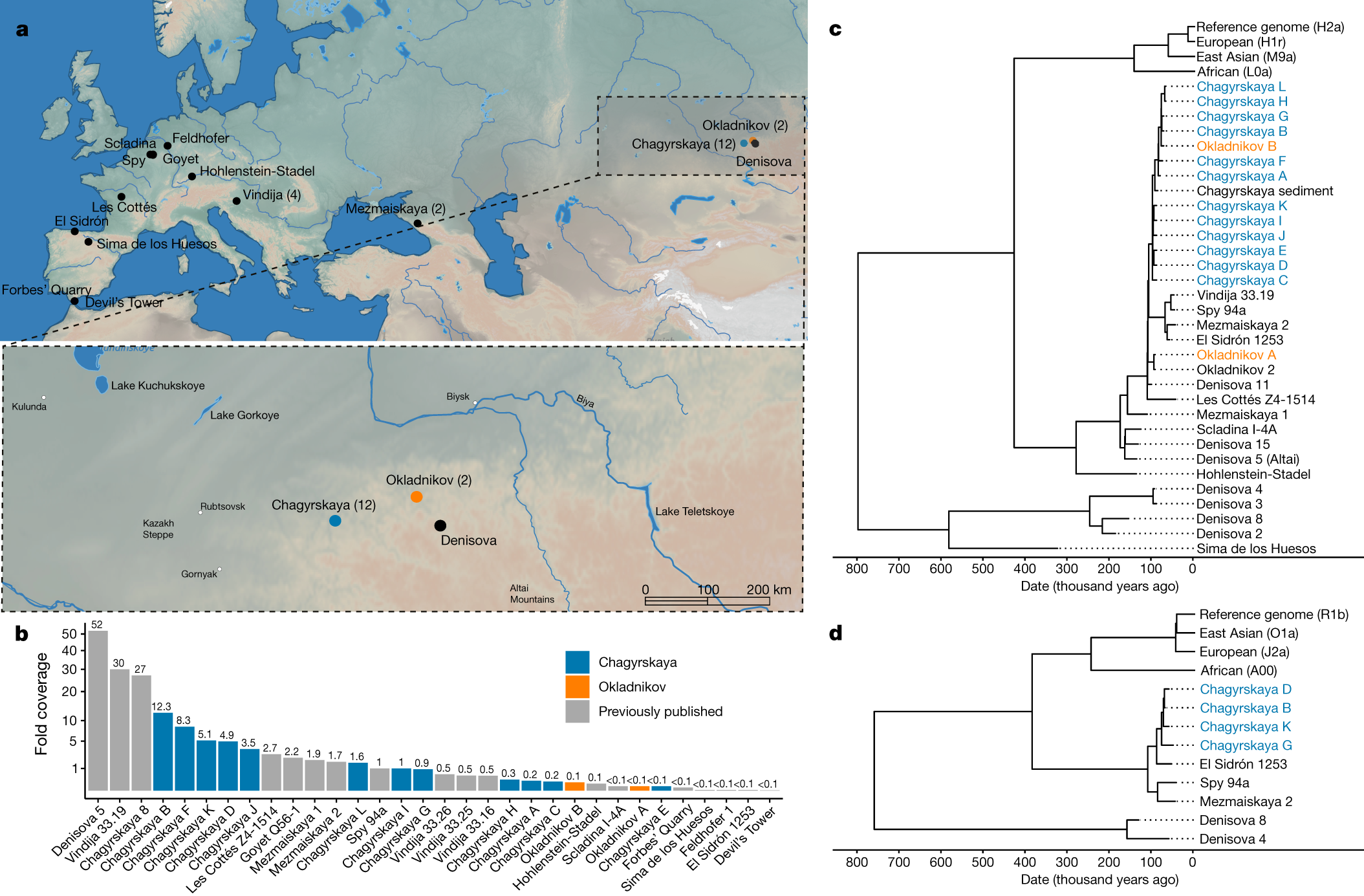Genetic insights into the social organization of Neanderthals Nature