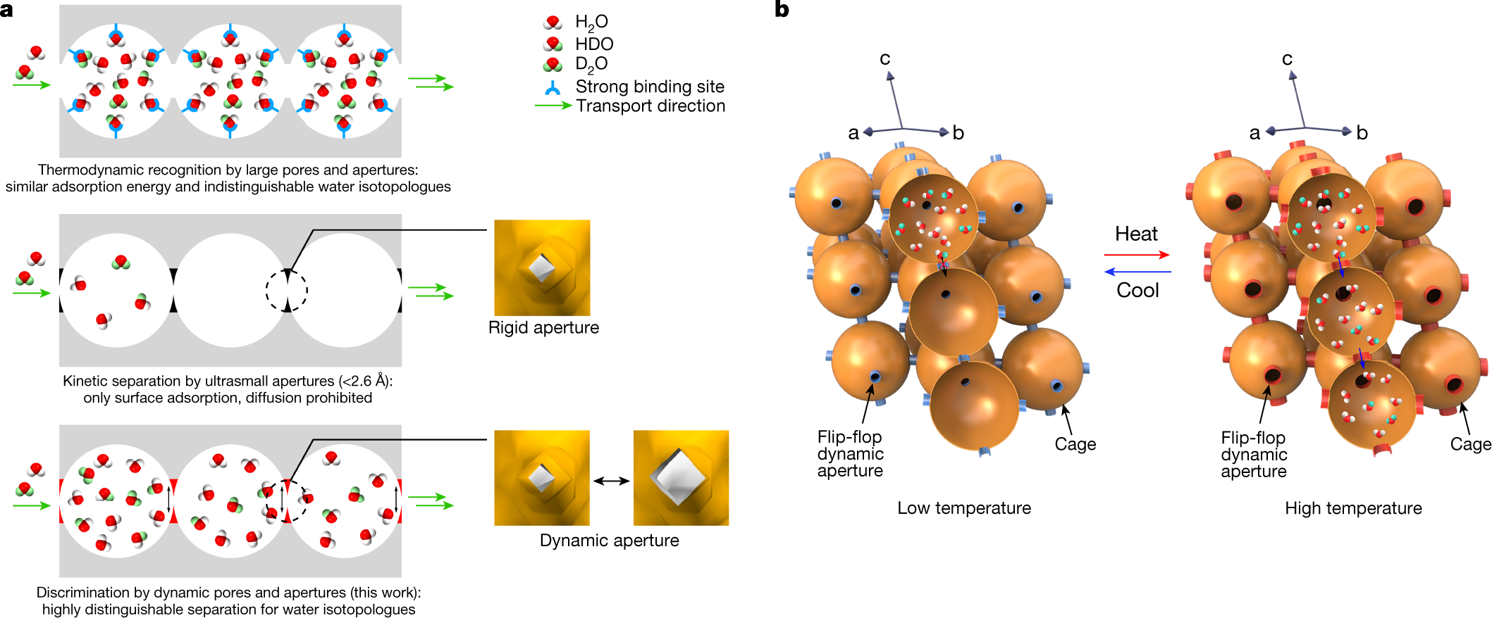 Separating water isotopologues using diffusion-regulatory porous 