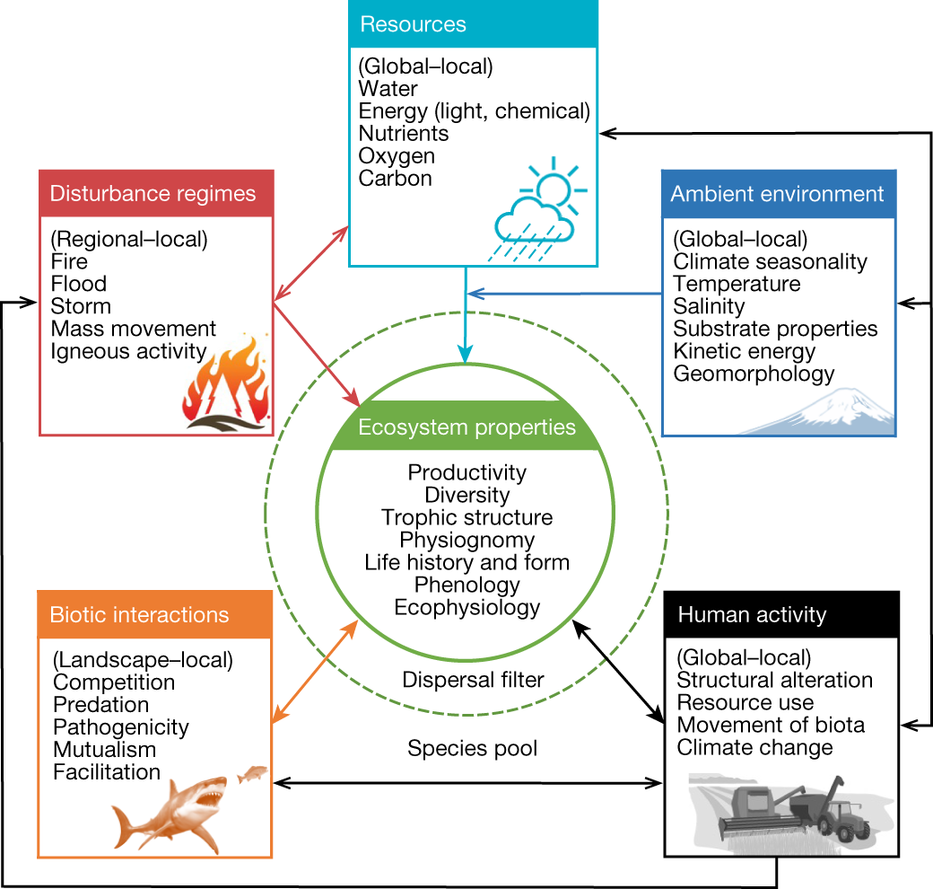 A Function Based Typology For Earth S Ecosystems Nature