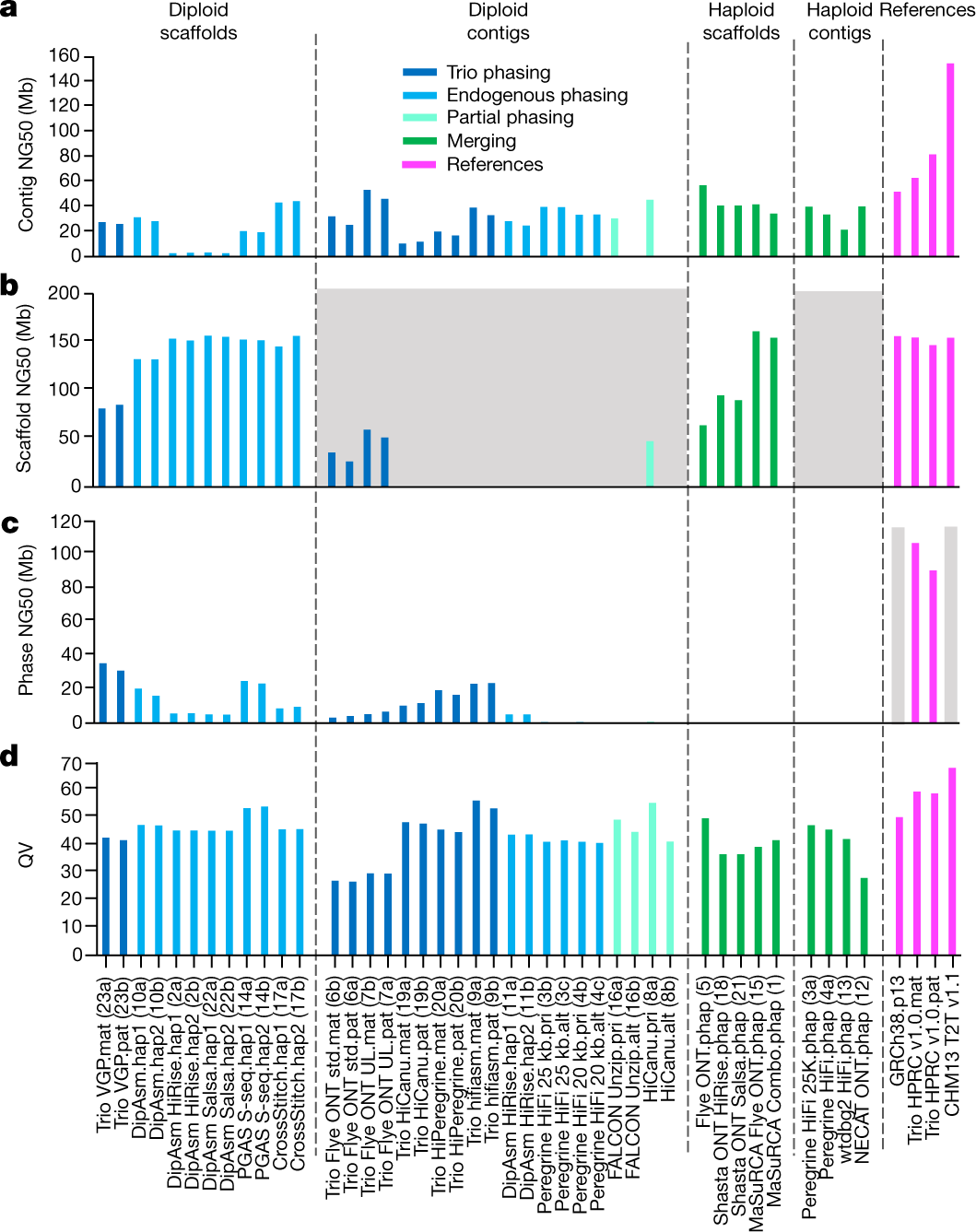 Semi-automated assembly of high-quality diploid human reference genomes |  Nature