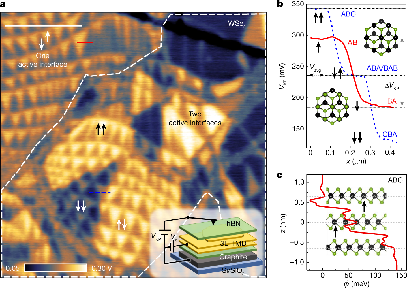 Cumulative polarization in conductive interfacial ferroelectrics | Nature