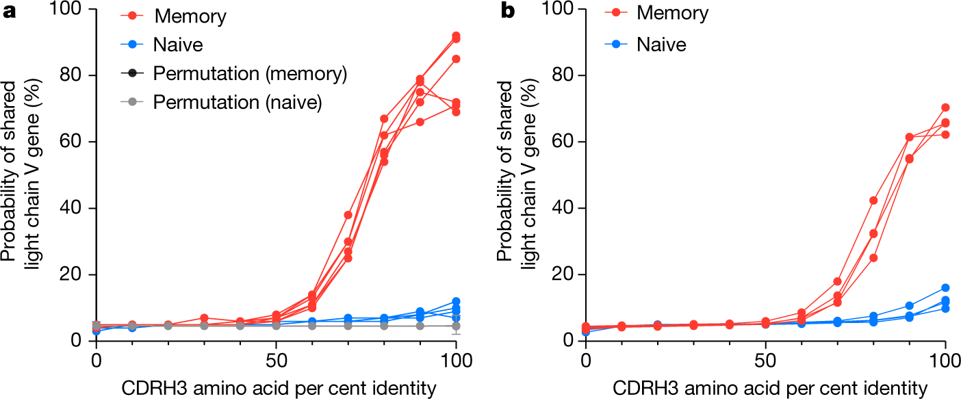 Functional antibodies exhibit light chain coherence | Nature