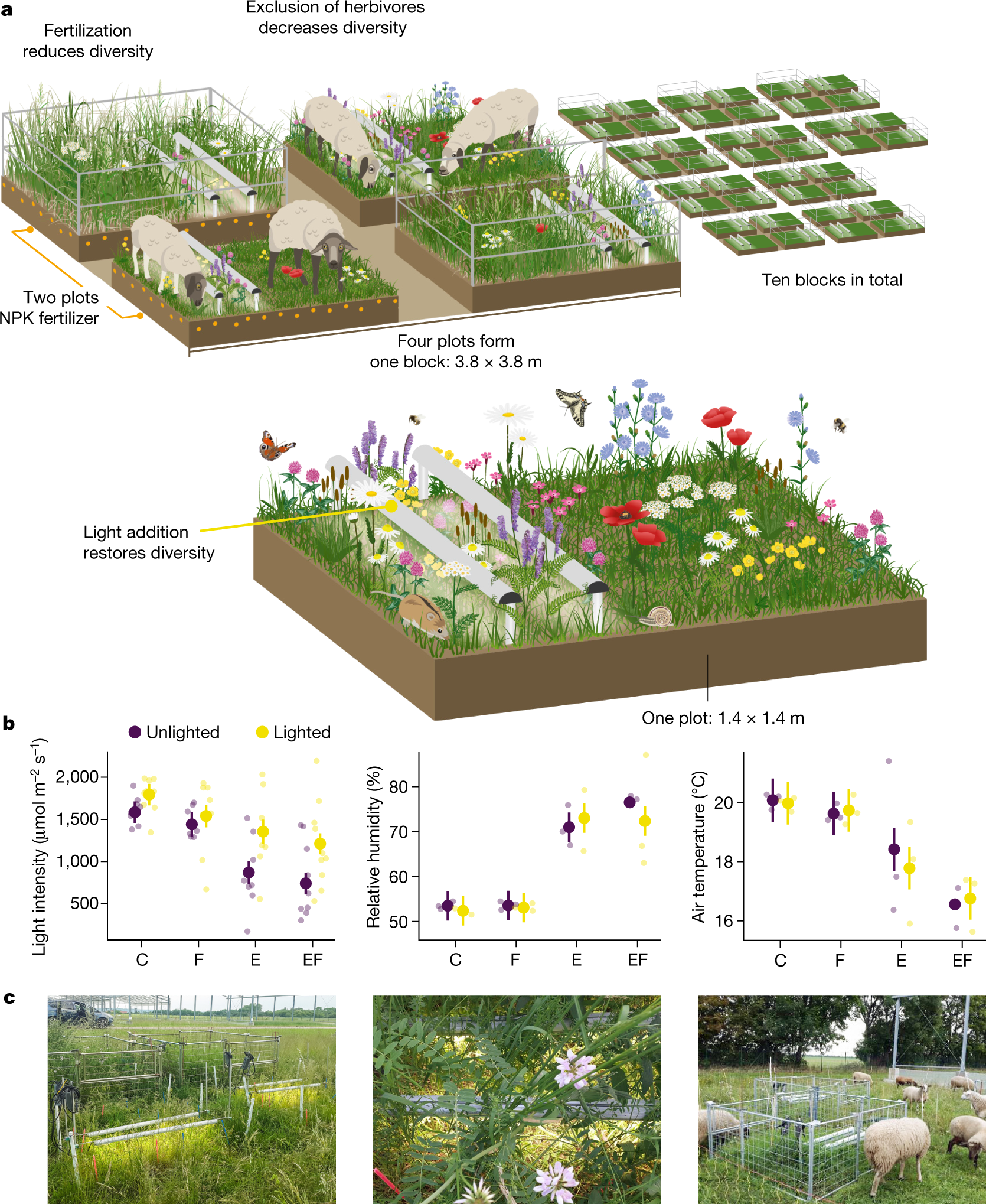 Light competition drives herbivore and nutrient effects on plant diversity  | Nature
