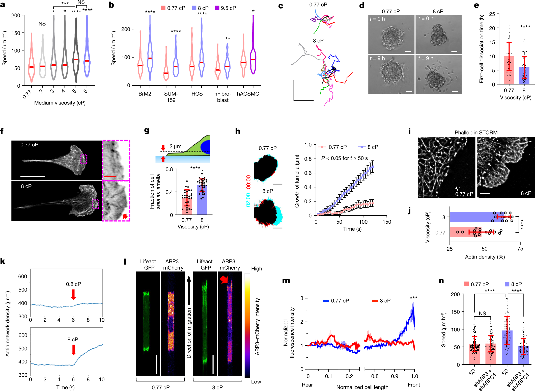 Extracellular fluid viscosity enhances cell migration and cancer dissemination Nature photo pic