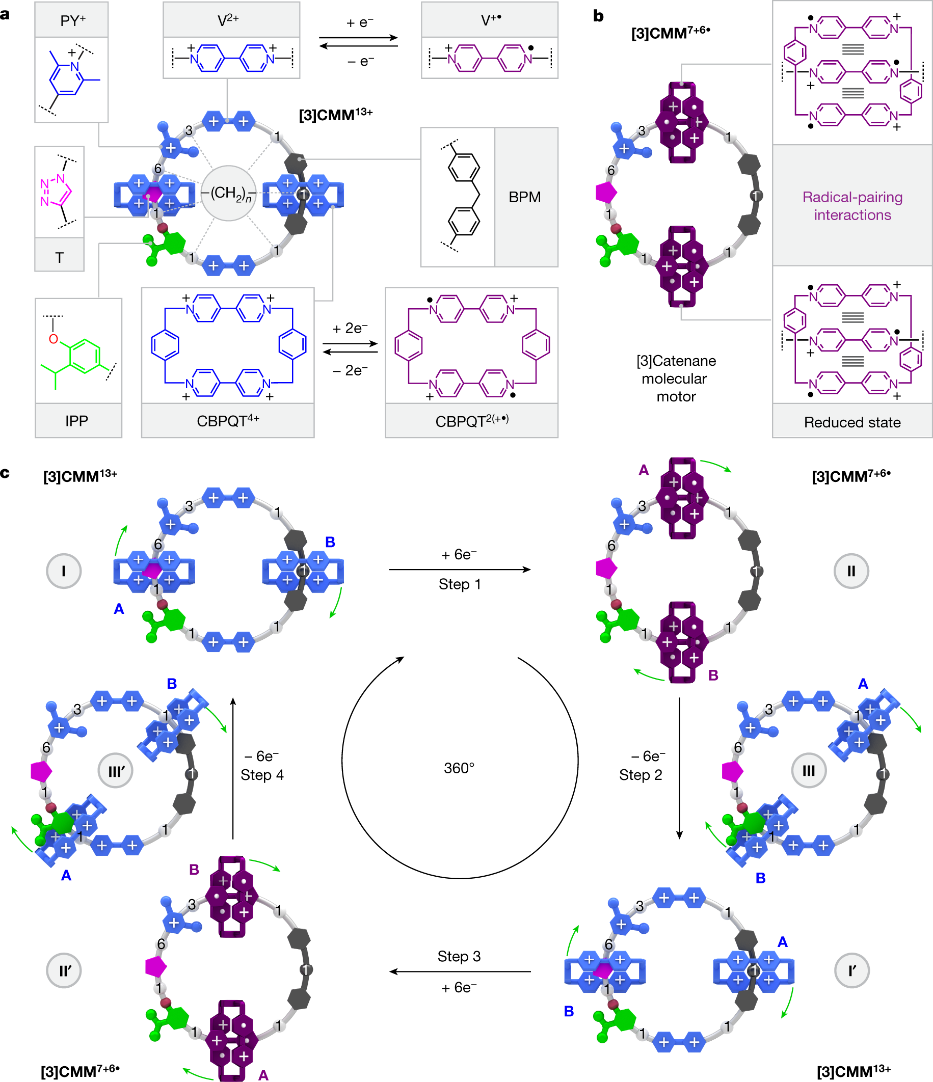 Syntheses of three-dimensional catenanes under kinetic control