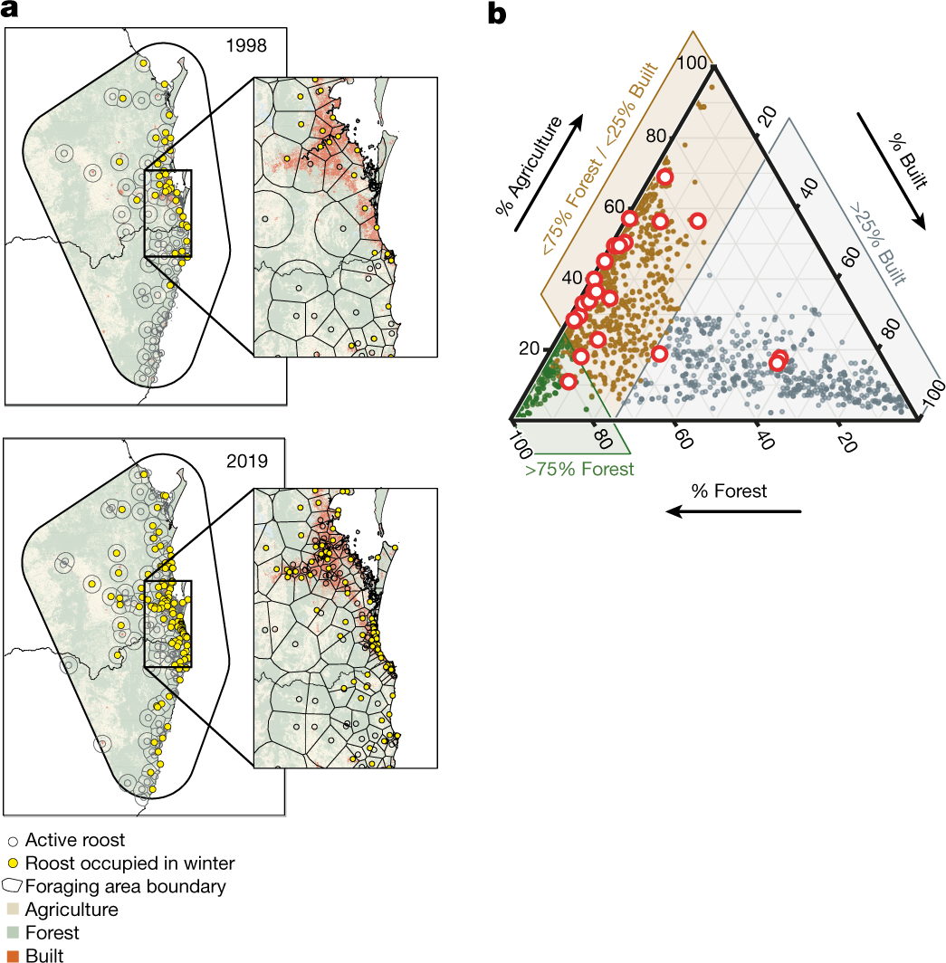 Fig. 3: The distribution of Pteropus alecto roosts during winter.